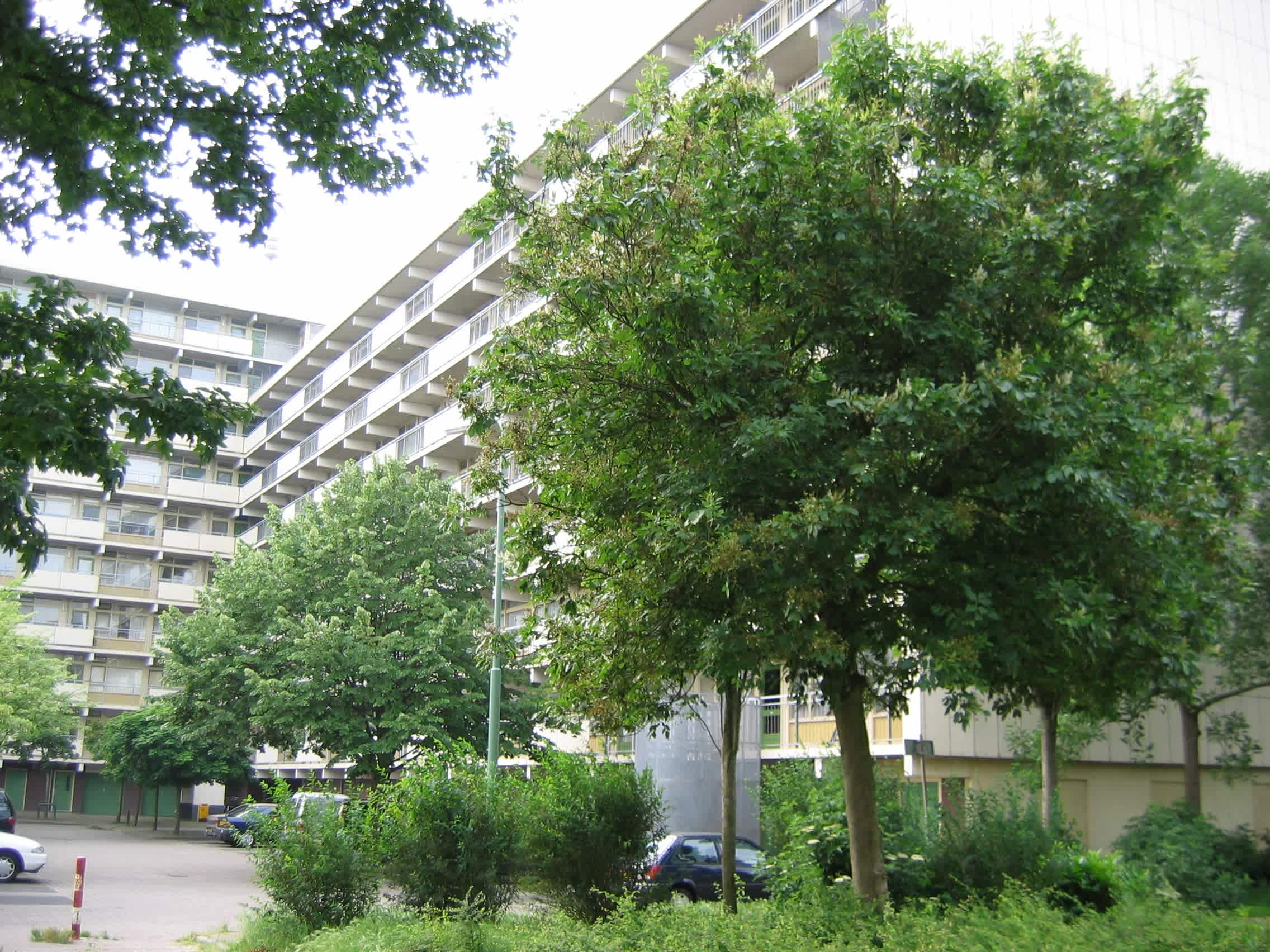 Couwenhoven 8609 - Zeist