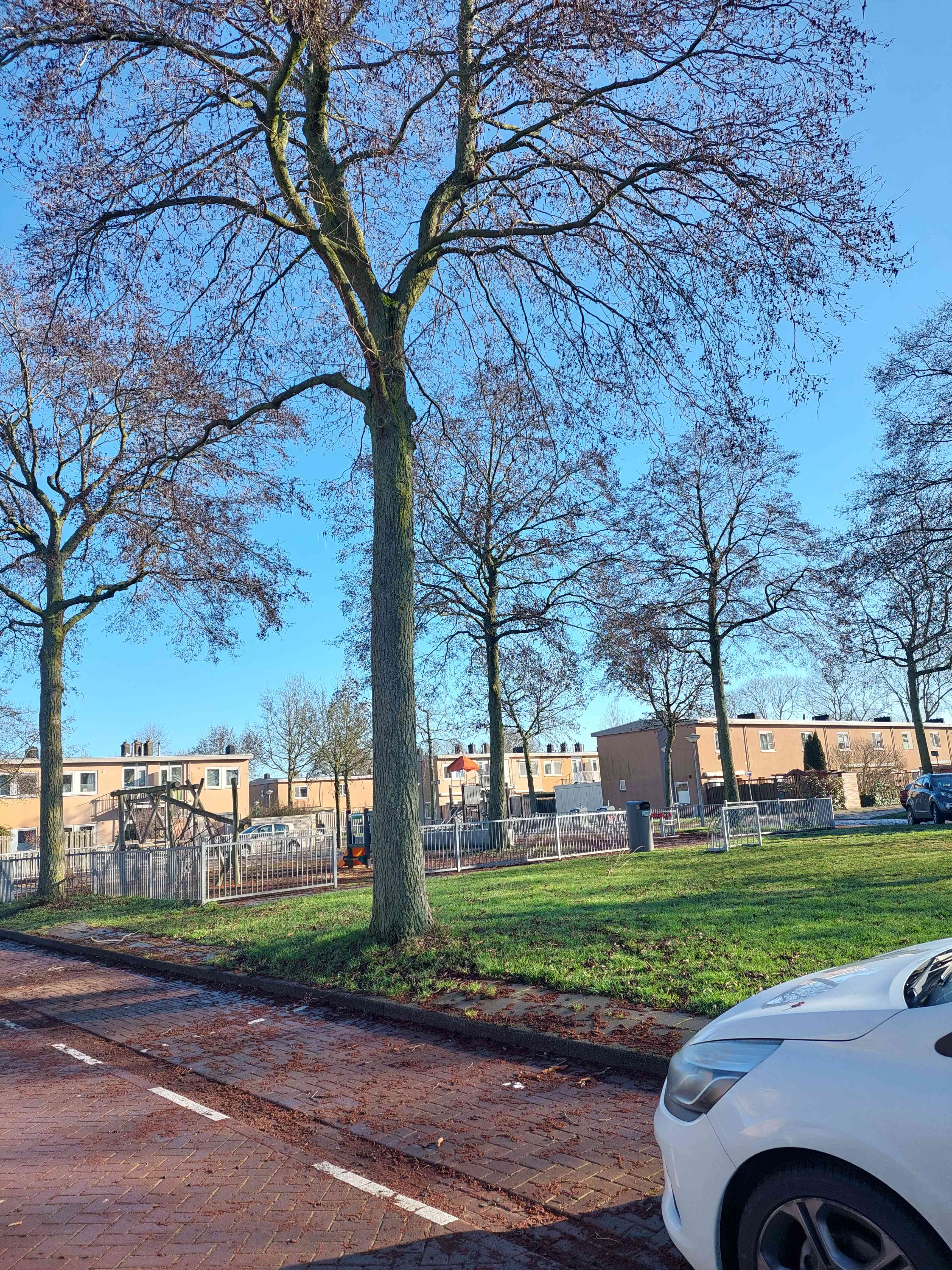 Amandelstraat 14-1 - Amsterdam