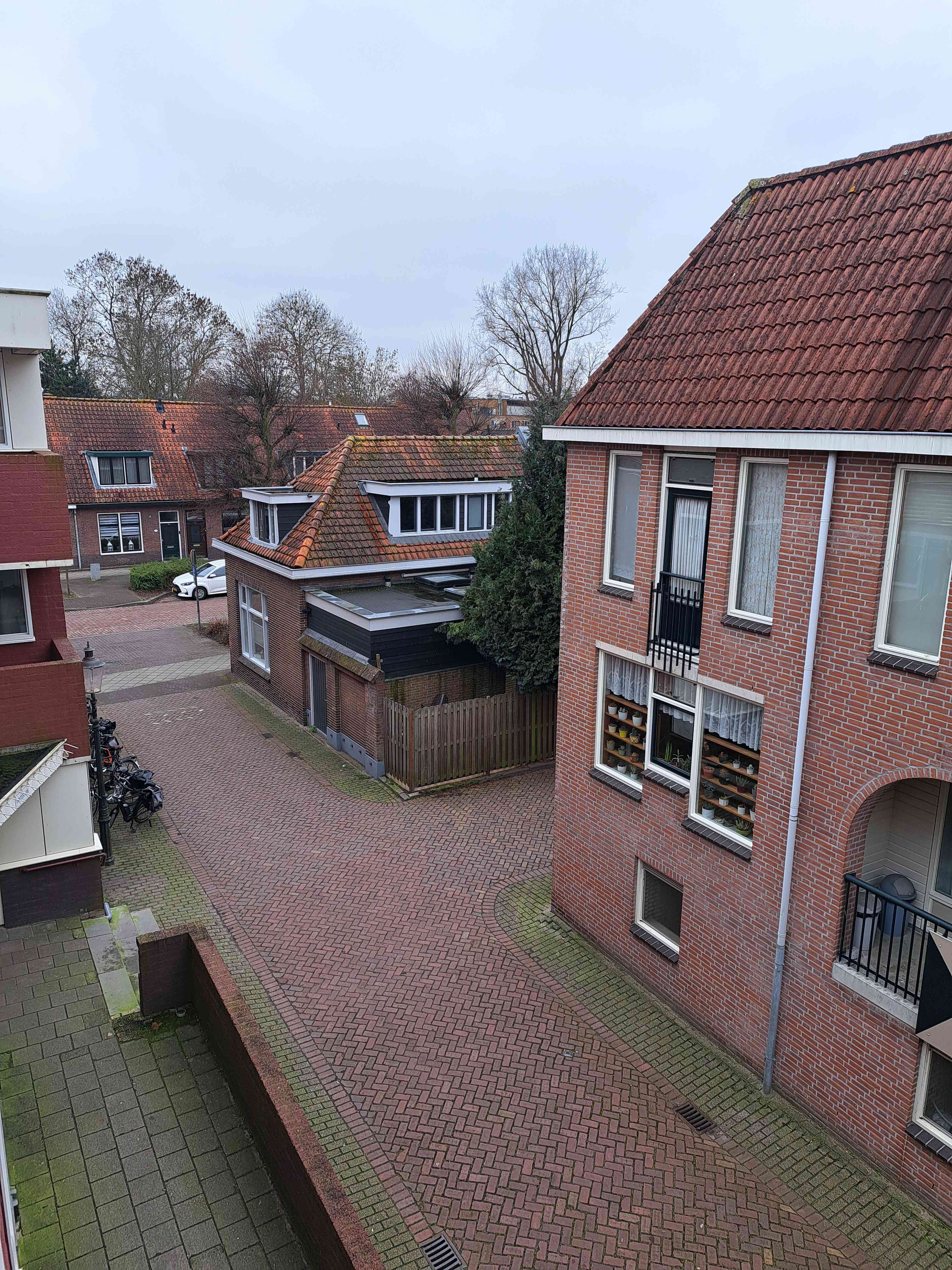 Wintertuin 209 - Weesp