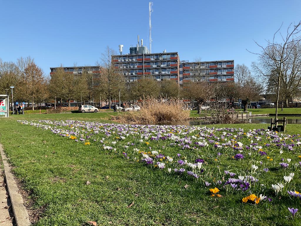 Heimanslaan 305 - Culemborg