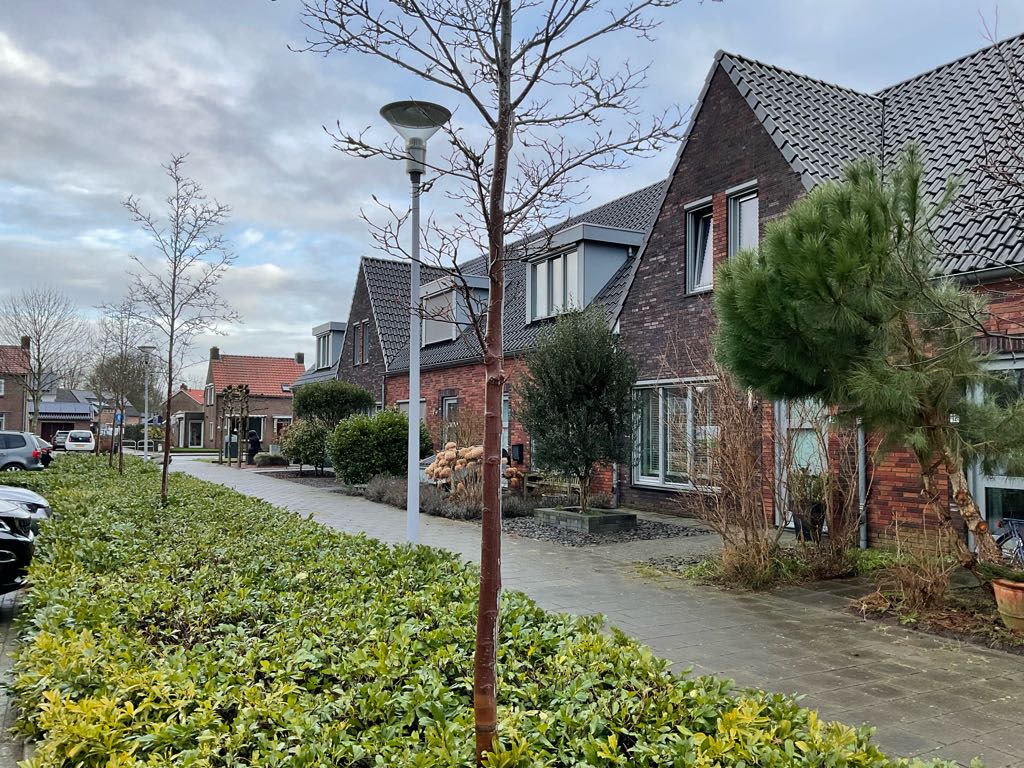 Wielewaalpad 10 - Hurwenen