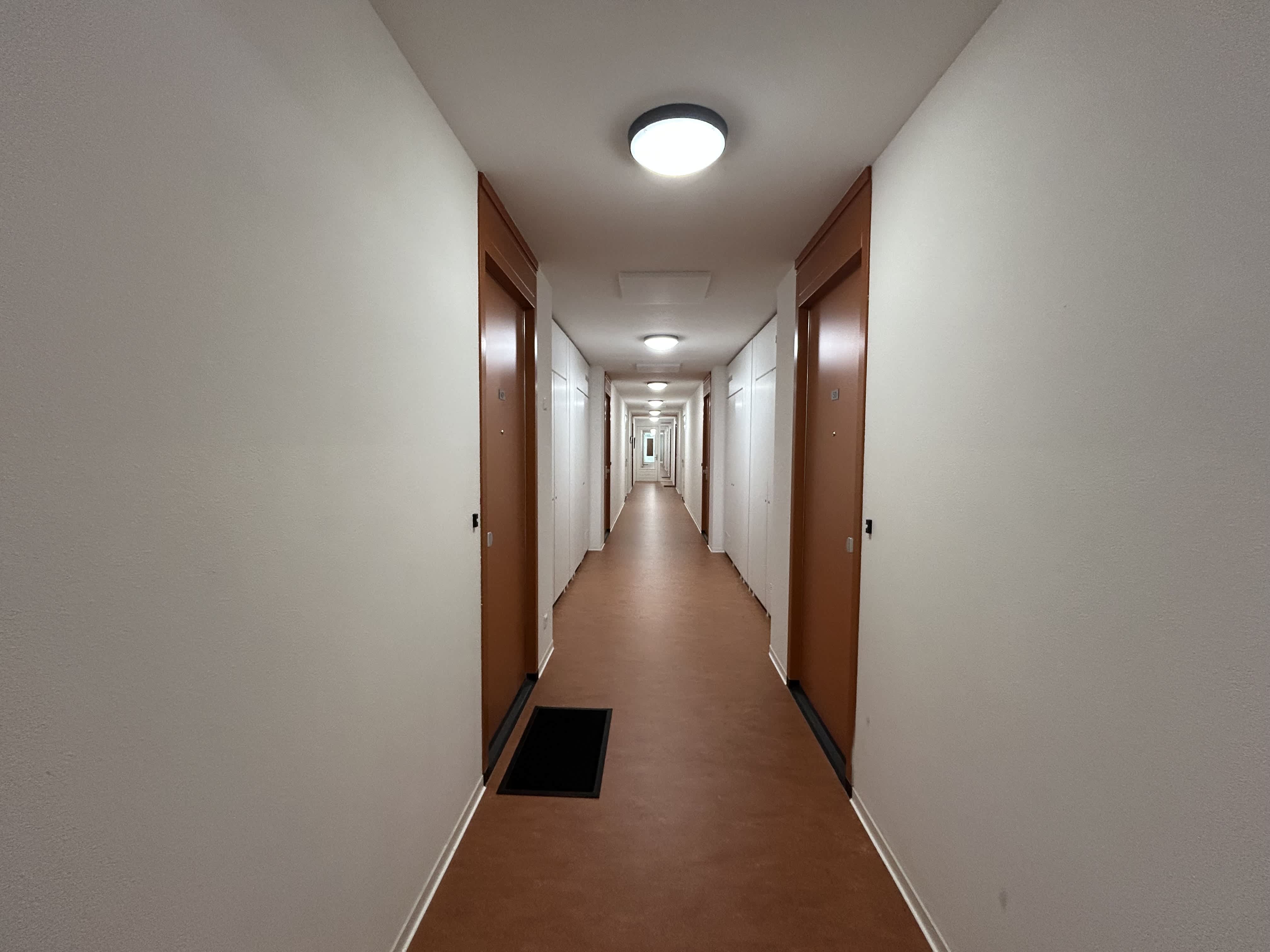 Zilverplevierstraat 47 - Amsterdam