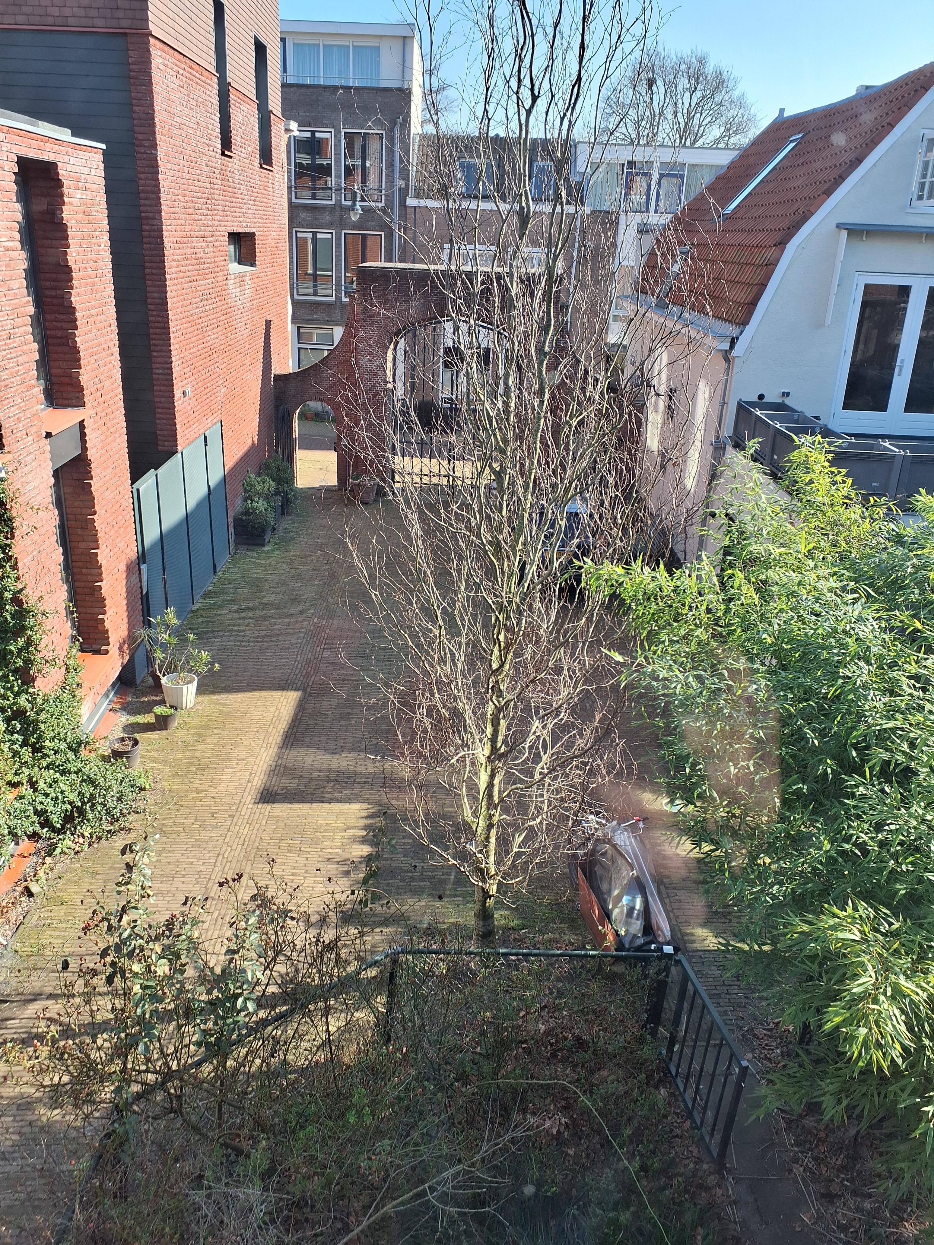 Kleine Houtstraat 100-0013 - Haarlem