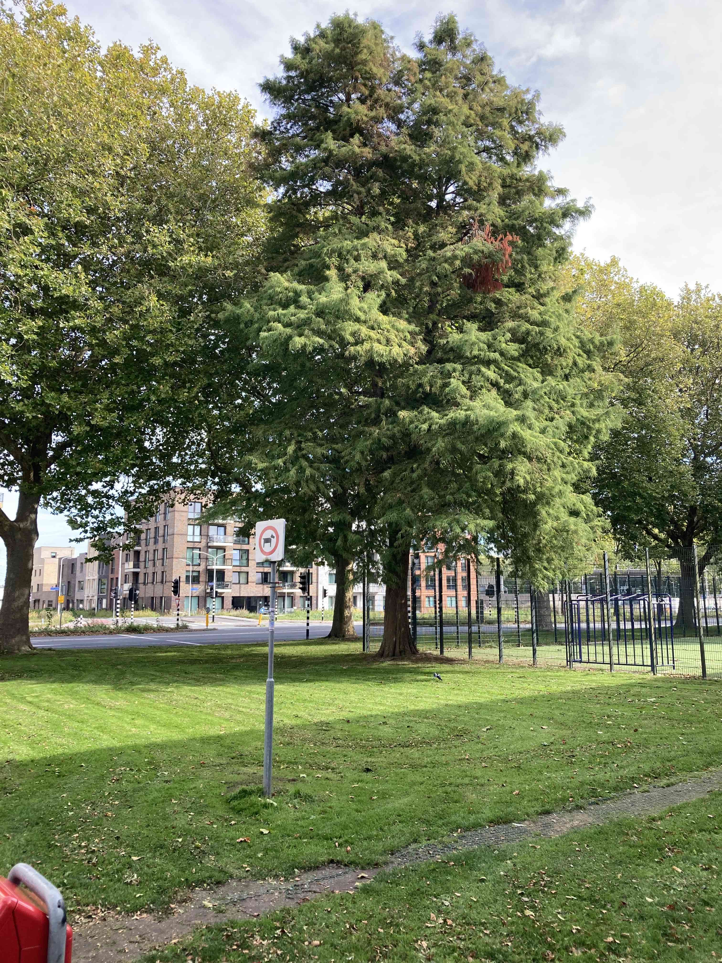 Hof van Zaenden 132 - Zaandam