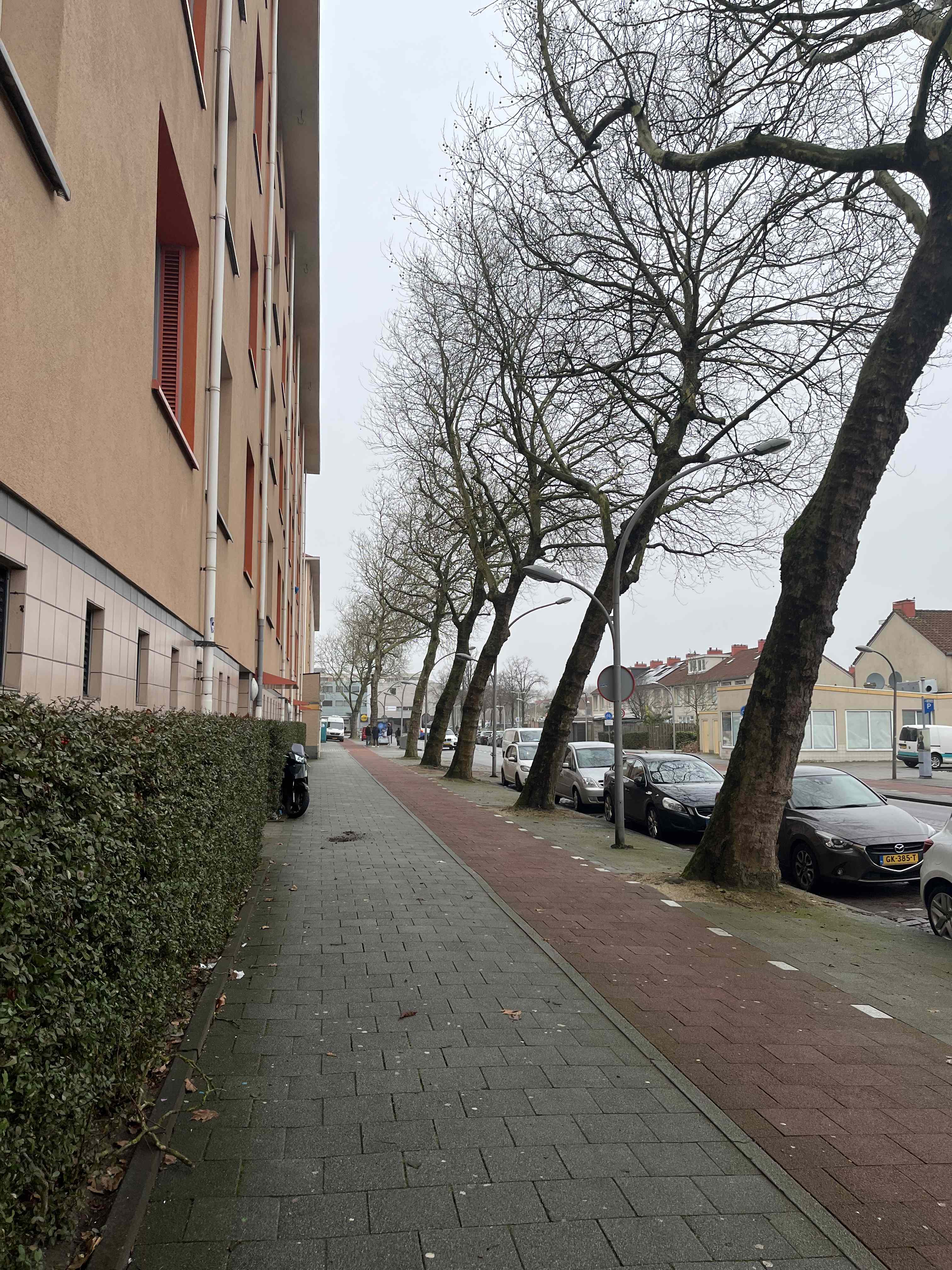 Ruys de Beerenbrouckstraat 145-2 - Amsterdam