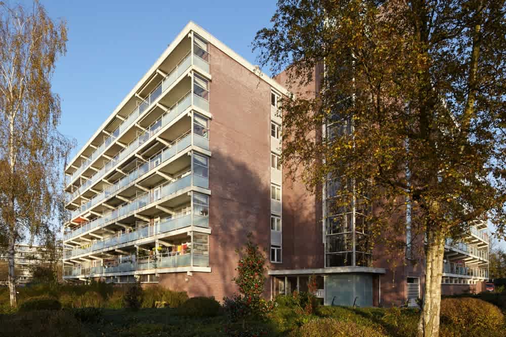 Peppelhorst 114 - Waddinxveen