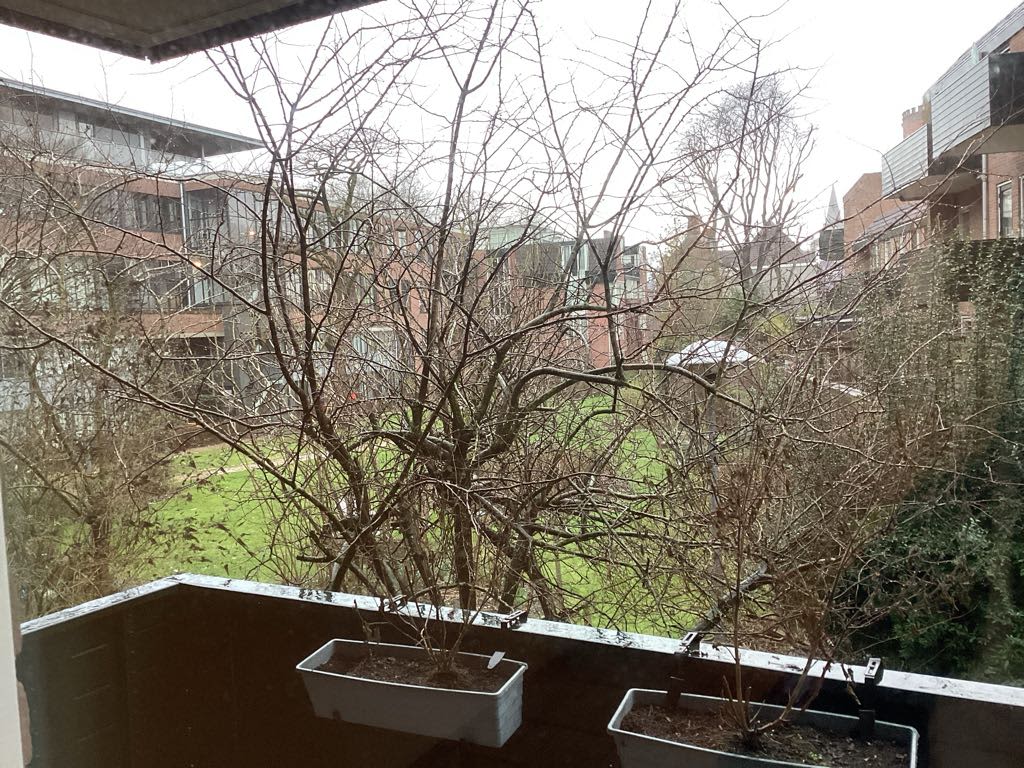 Wijde Begijnestraat 72 - Utrecht