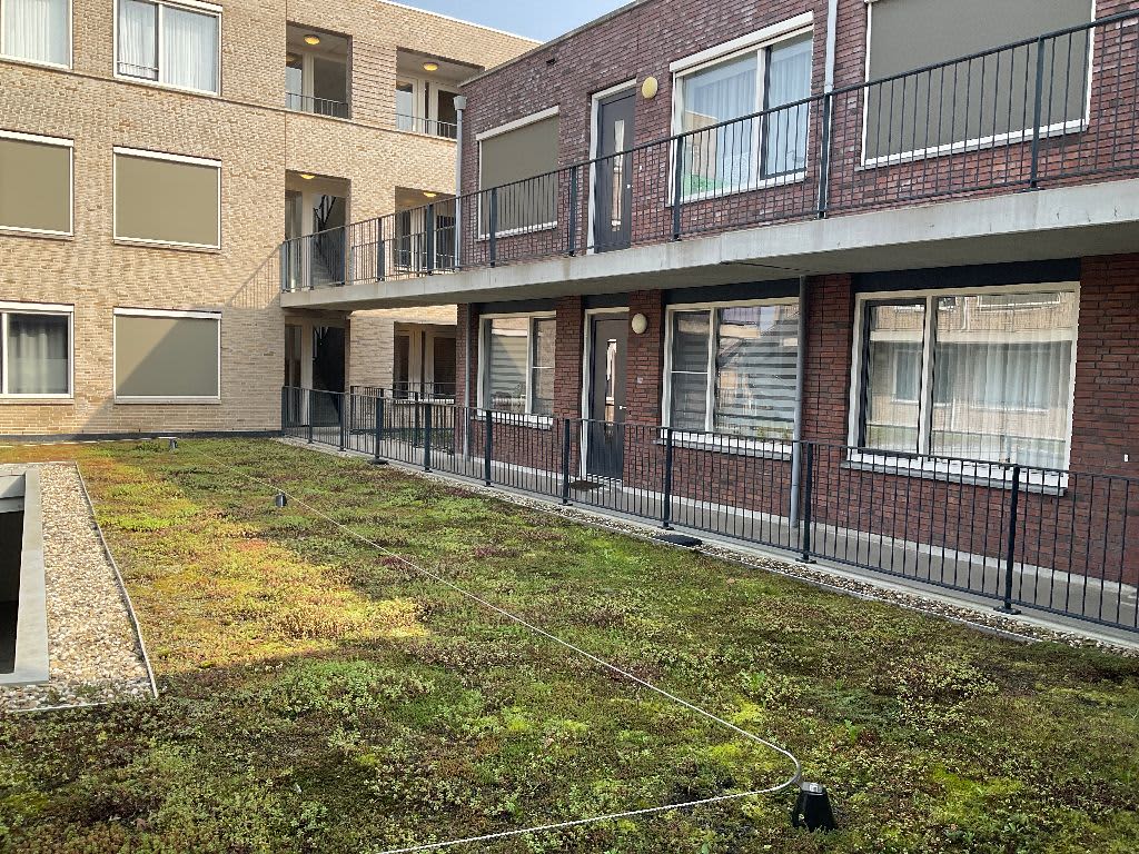 Burgemeester Vernedelaan 2105 - Geldermalsen