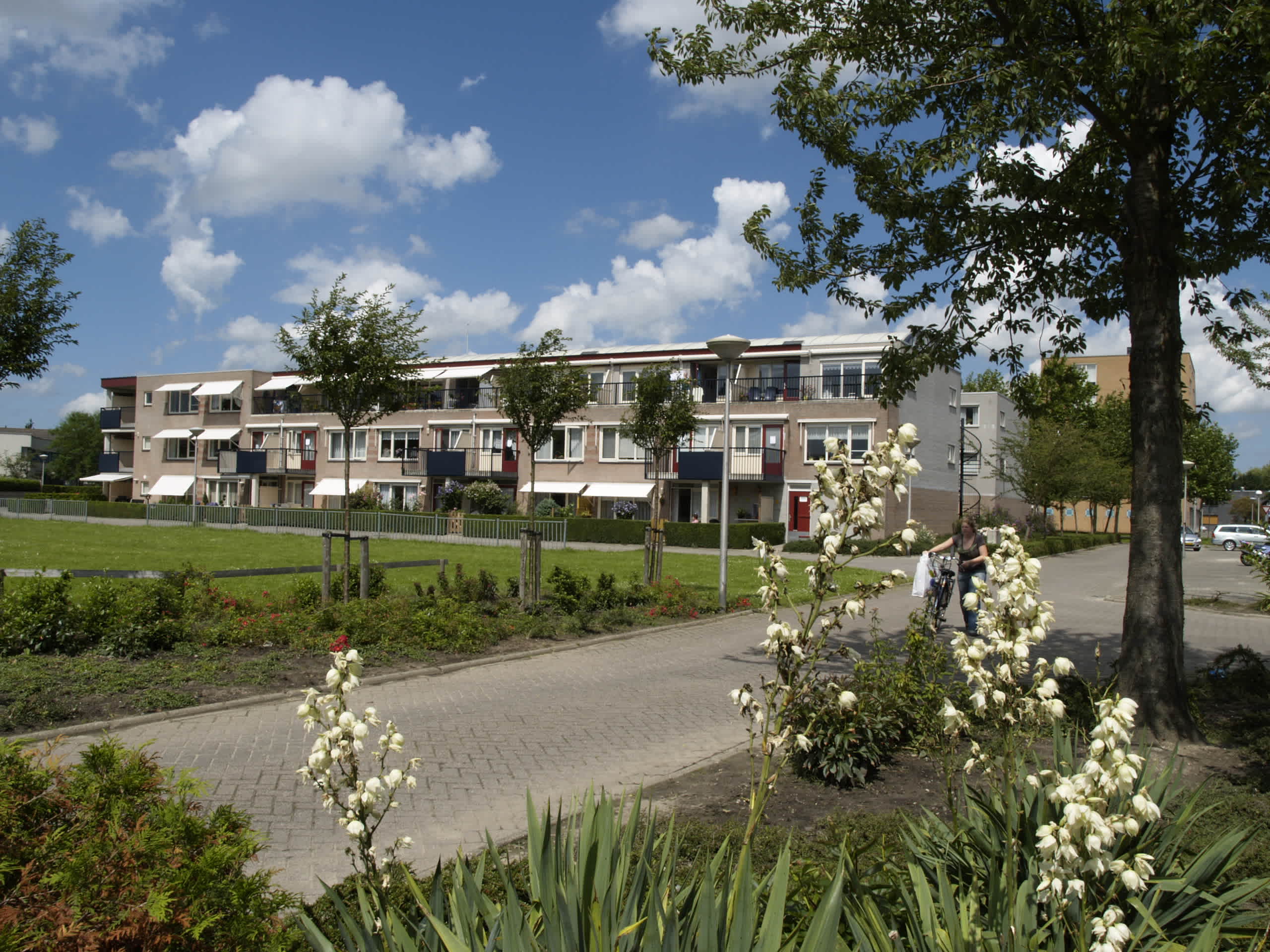 Zuidplaslaan 541 - Waddinxveen