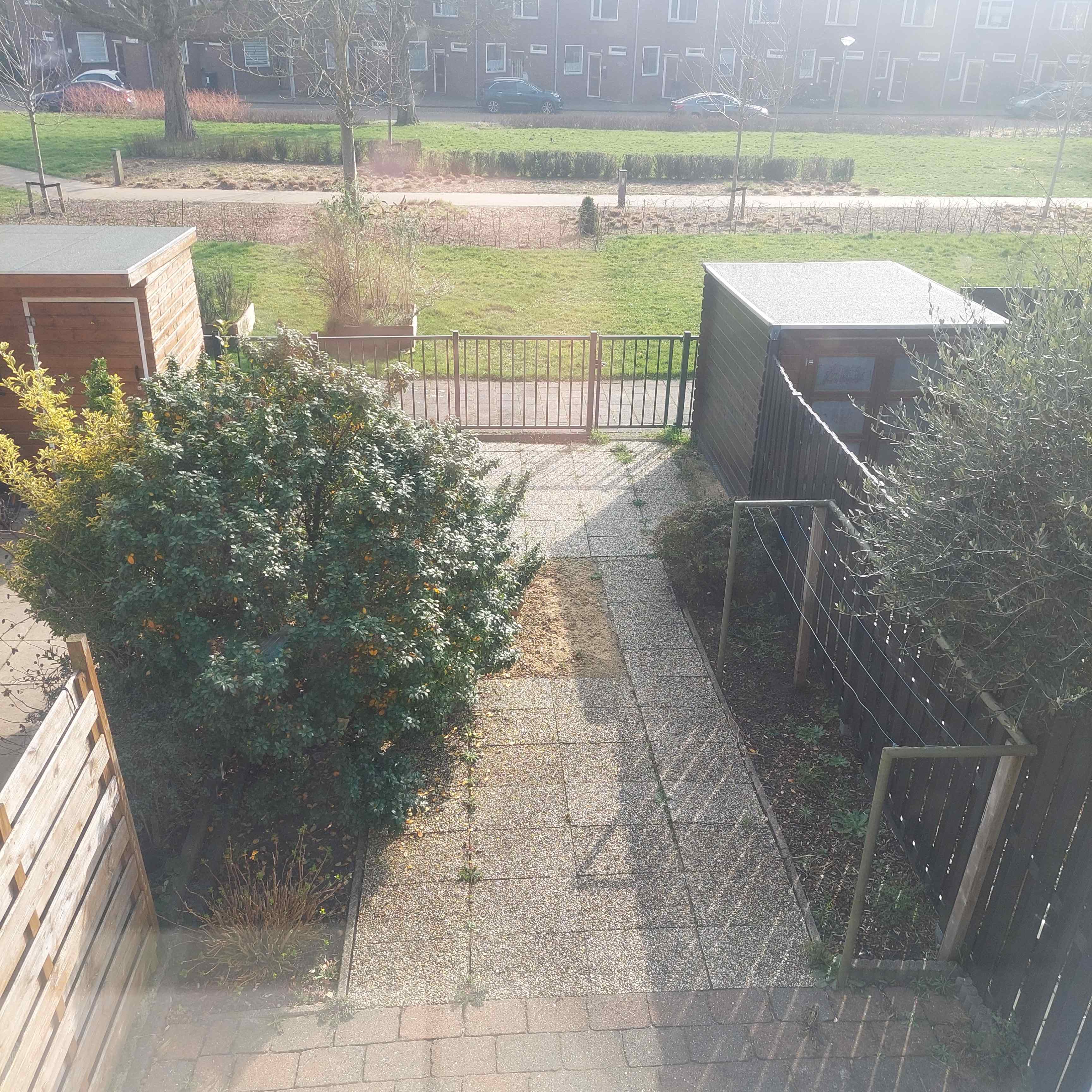 Ariana Nozemanstraat 47 - Amsterdam