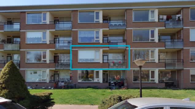 Oldenoert 34-123 - Leek