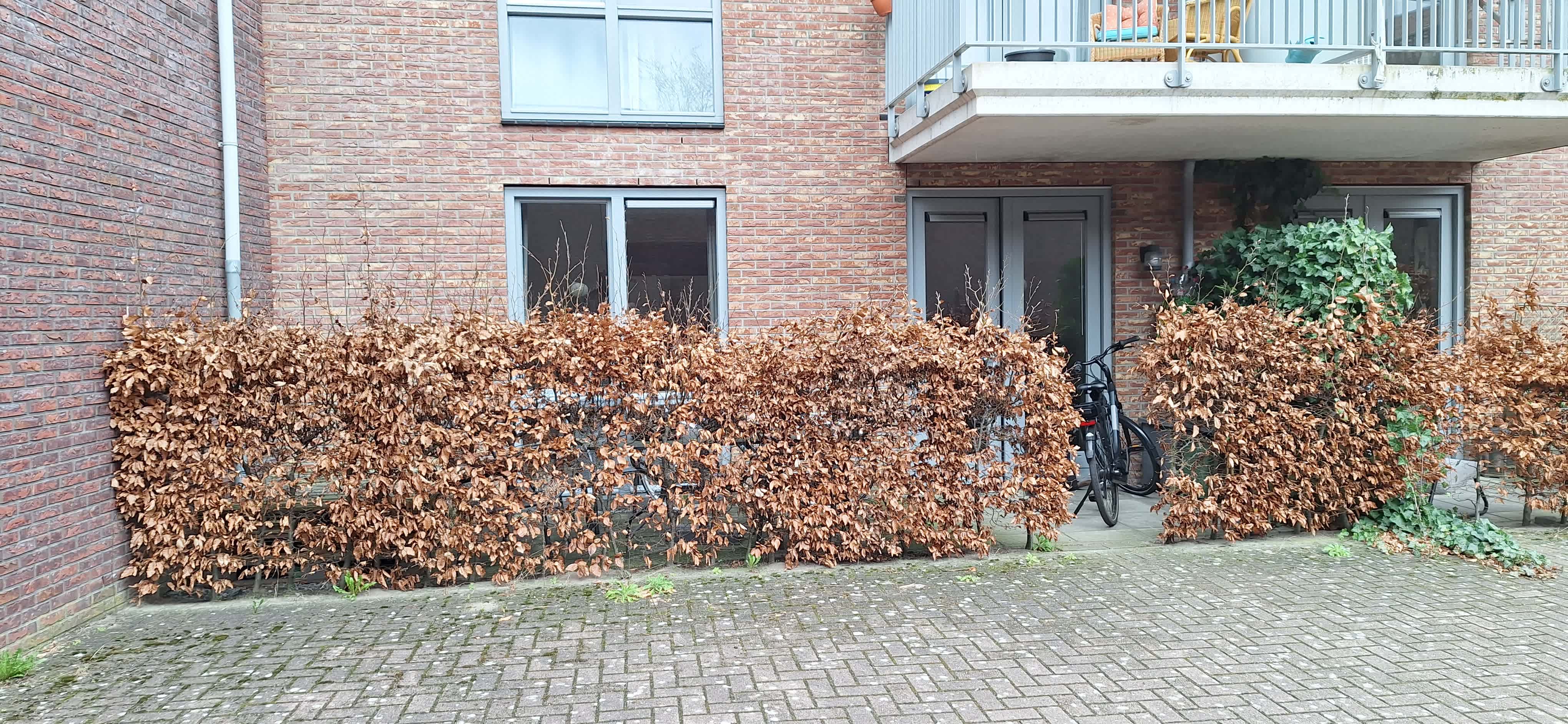 Pieter van Vollenhovenstraat 27 - Leusden