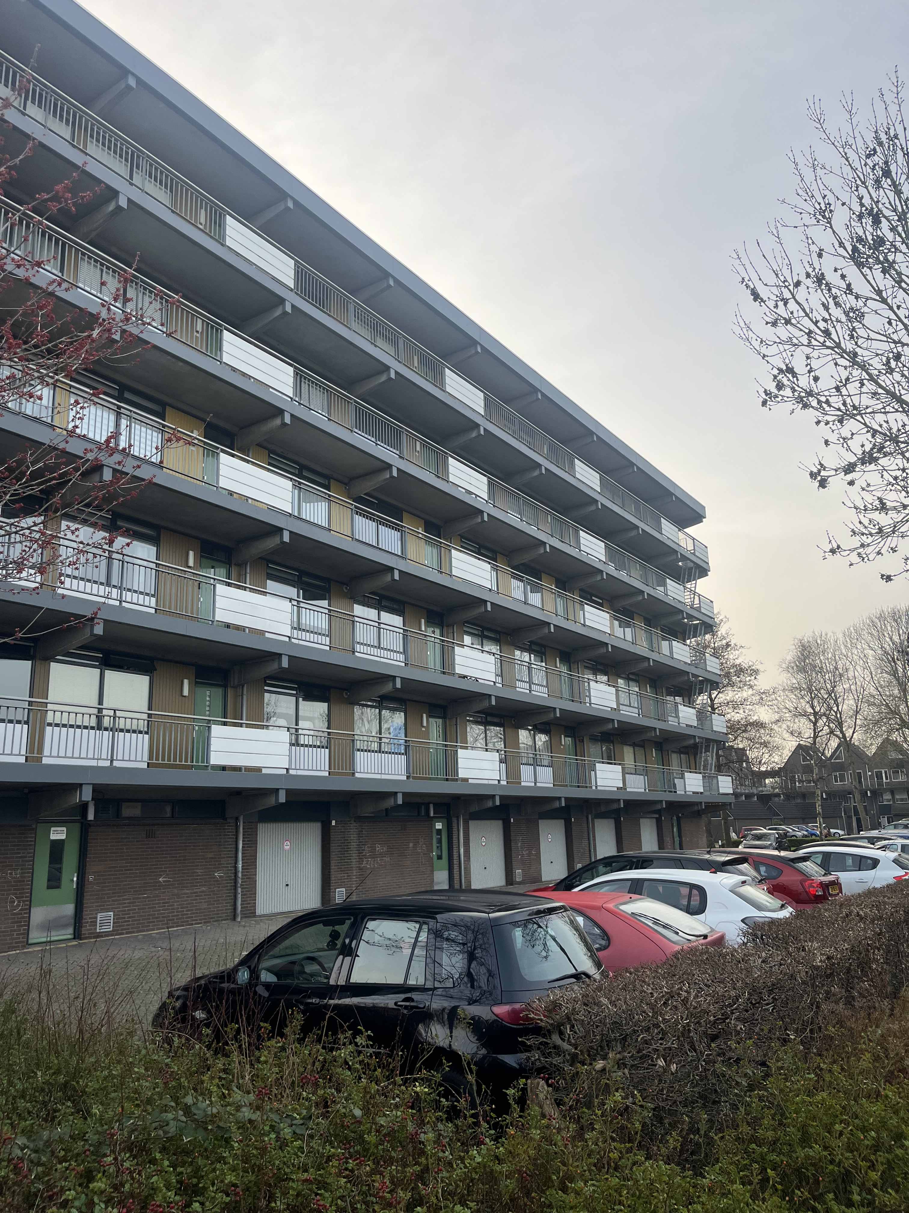 Wingerd 456 - Waddinxveen