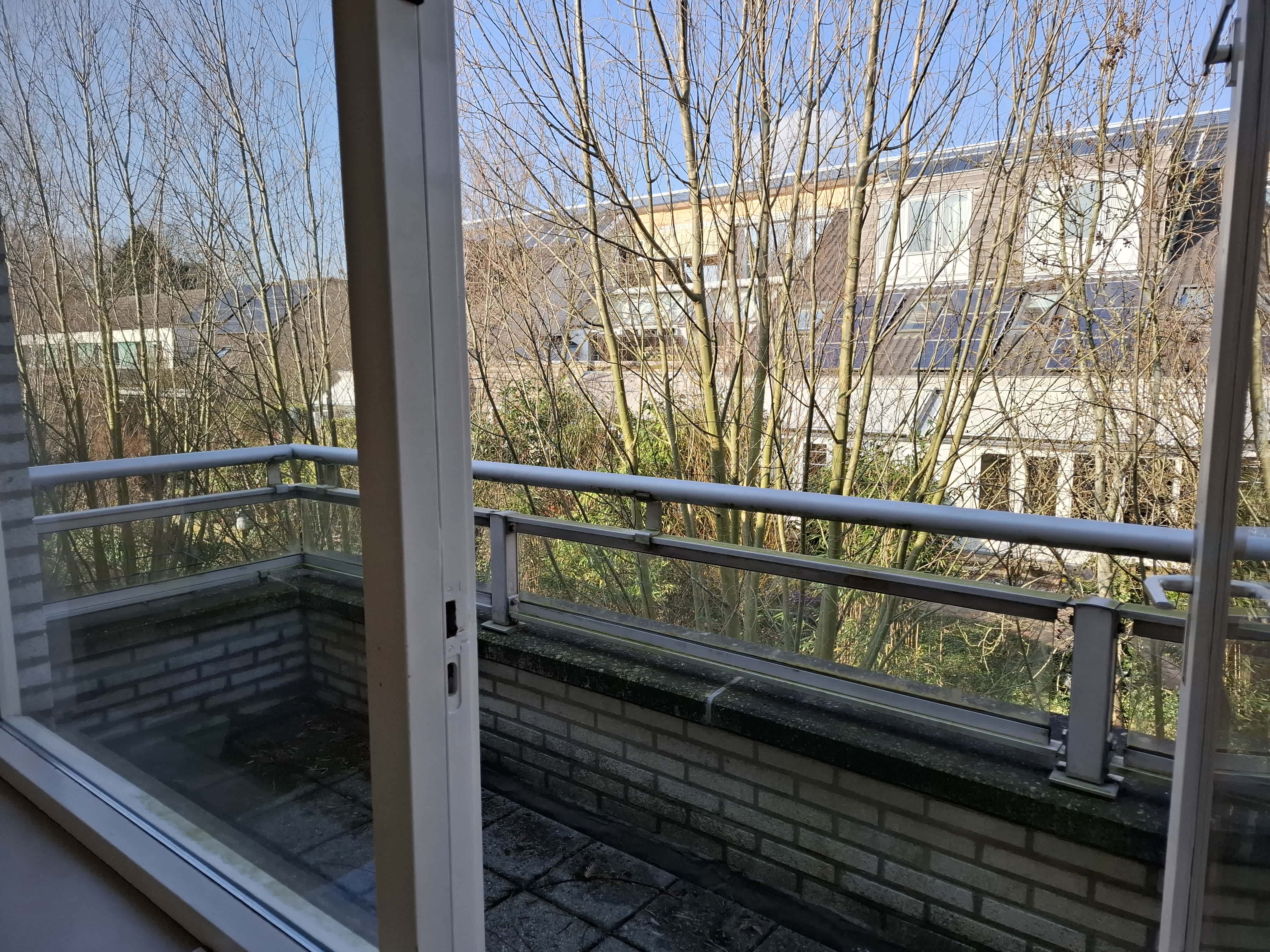 Anijsstraat 23 - Haarlem