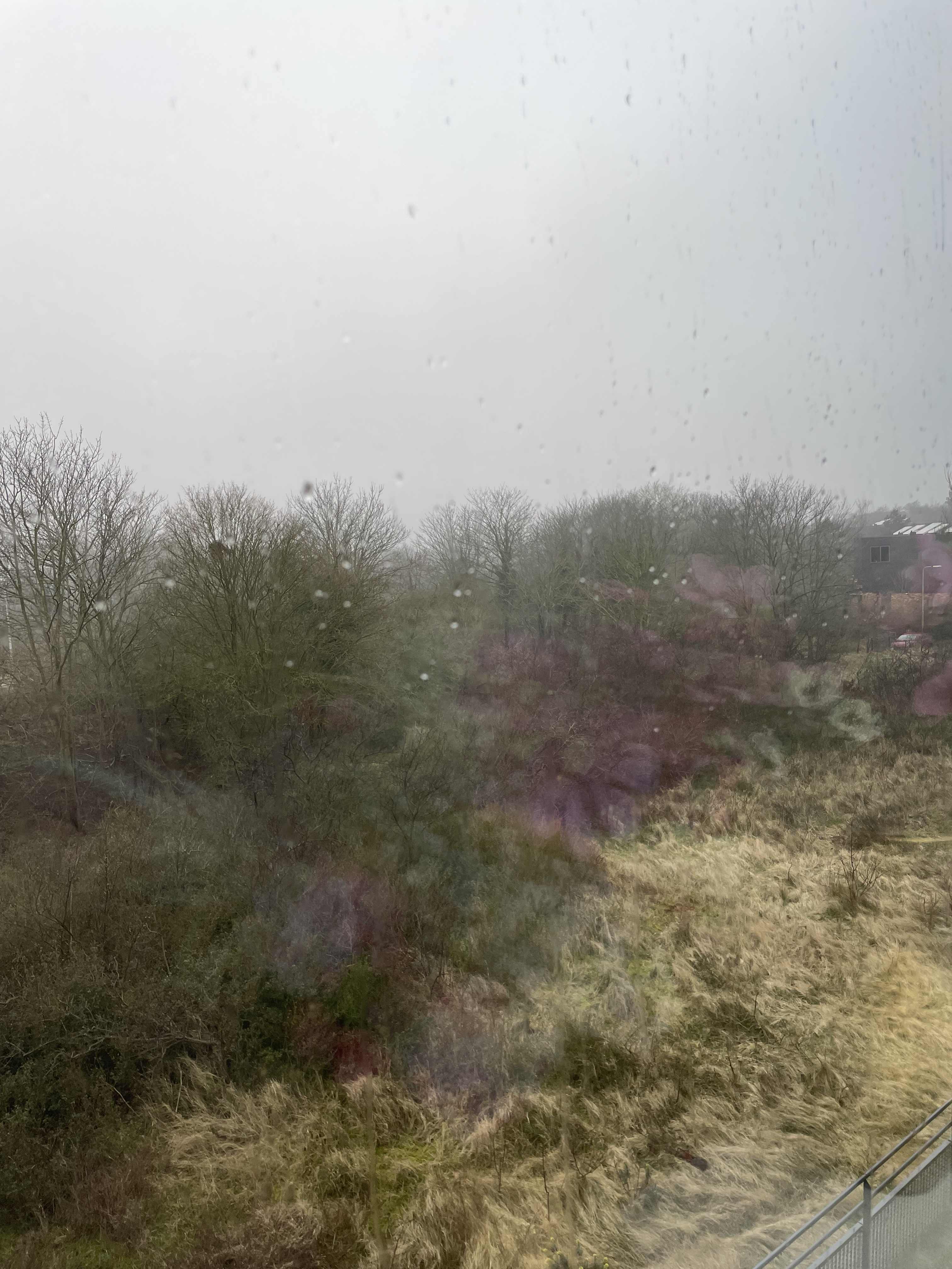 Scheiberglaan 216 - IJmuiden