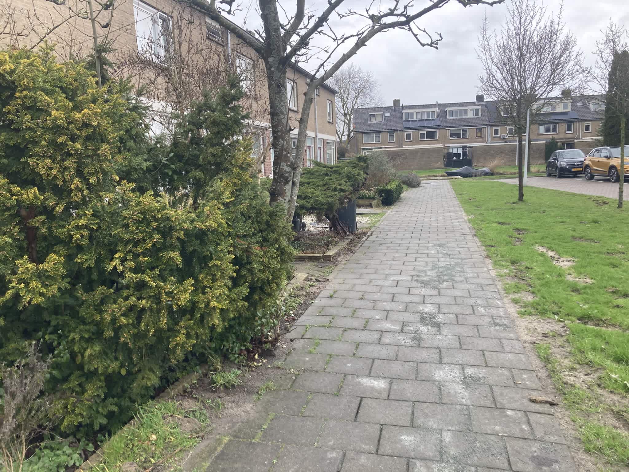 Tweebeen 1 - Zaandijk