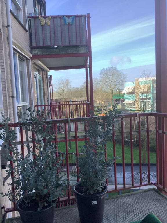 Koningin Wilhelminaweg 105 - Alblasserdam