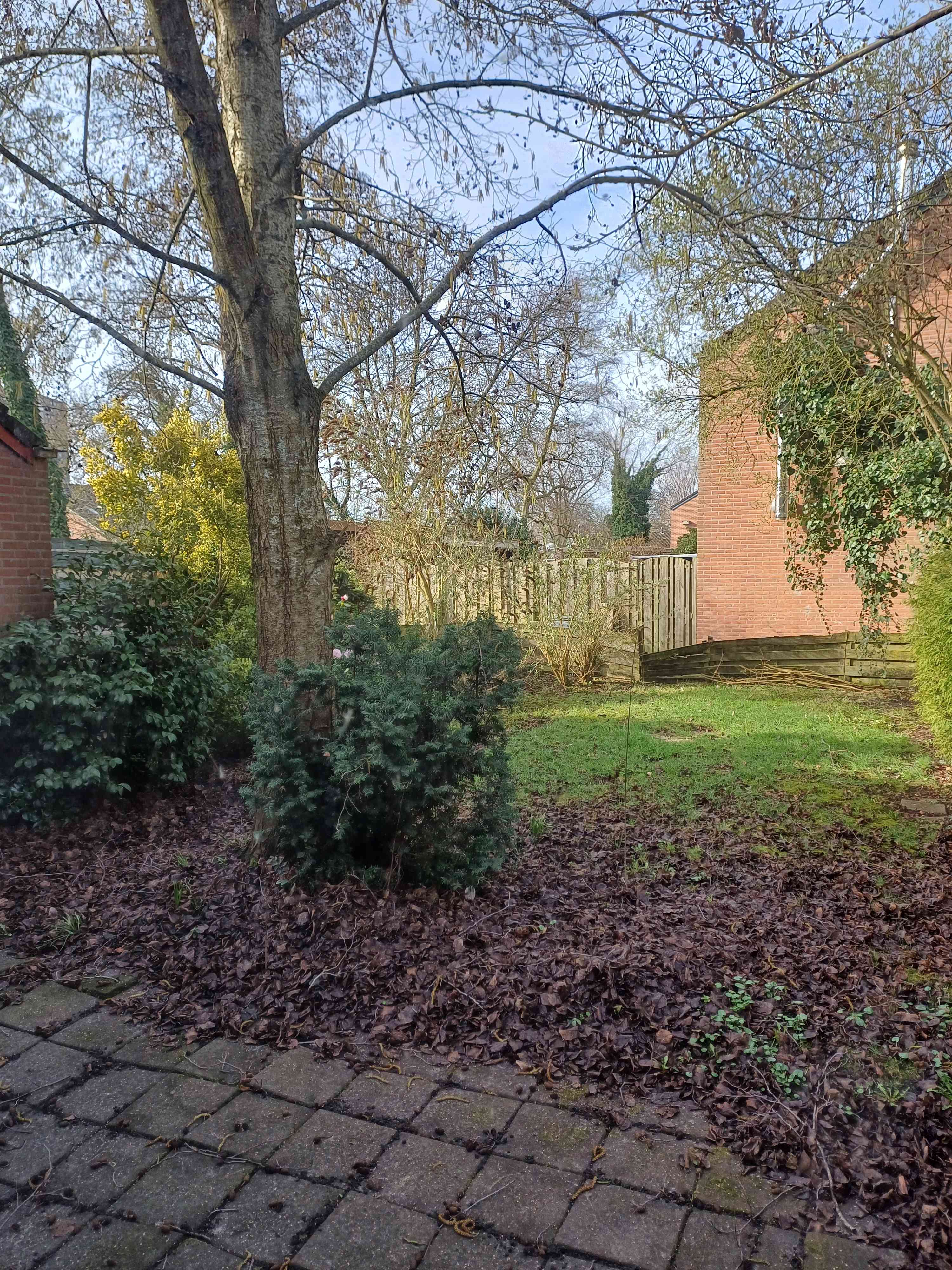 Orchideestraat 44 - Groningen