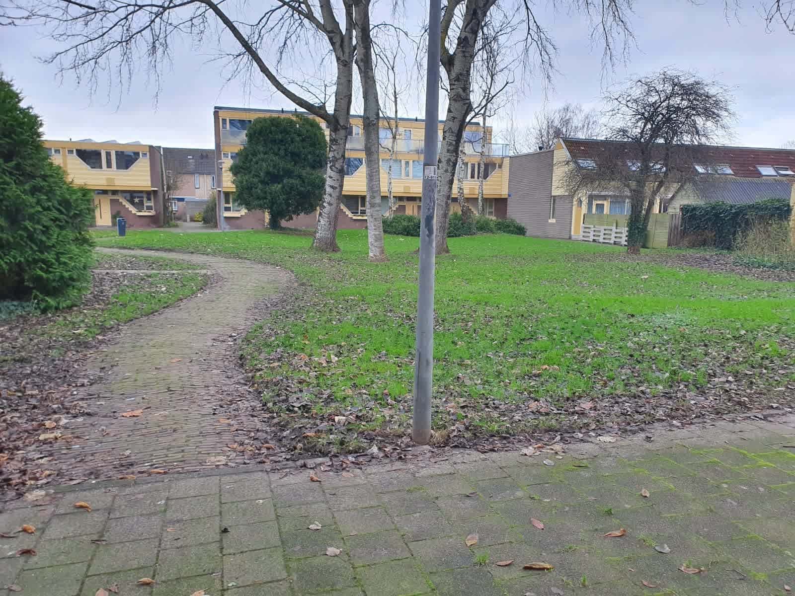 Hondsbos 30 - Haarlem