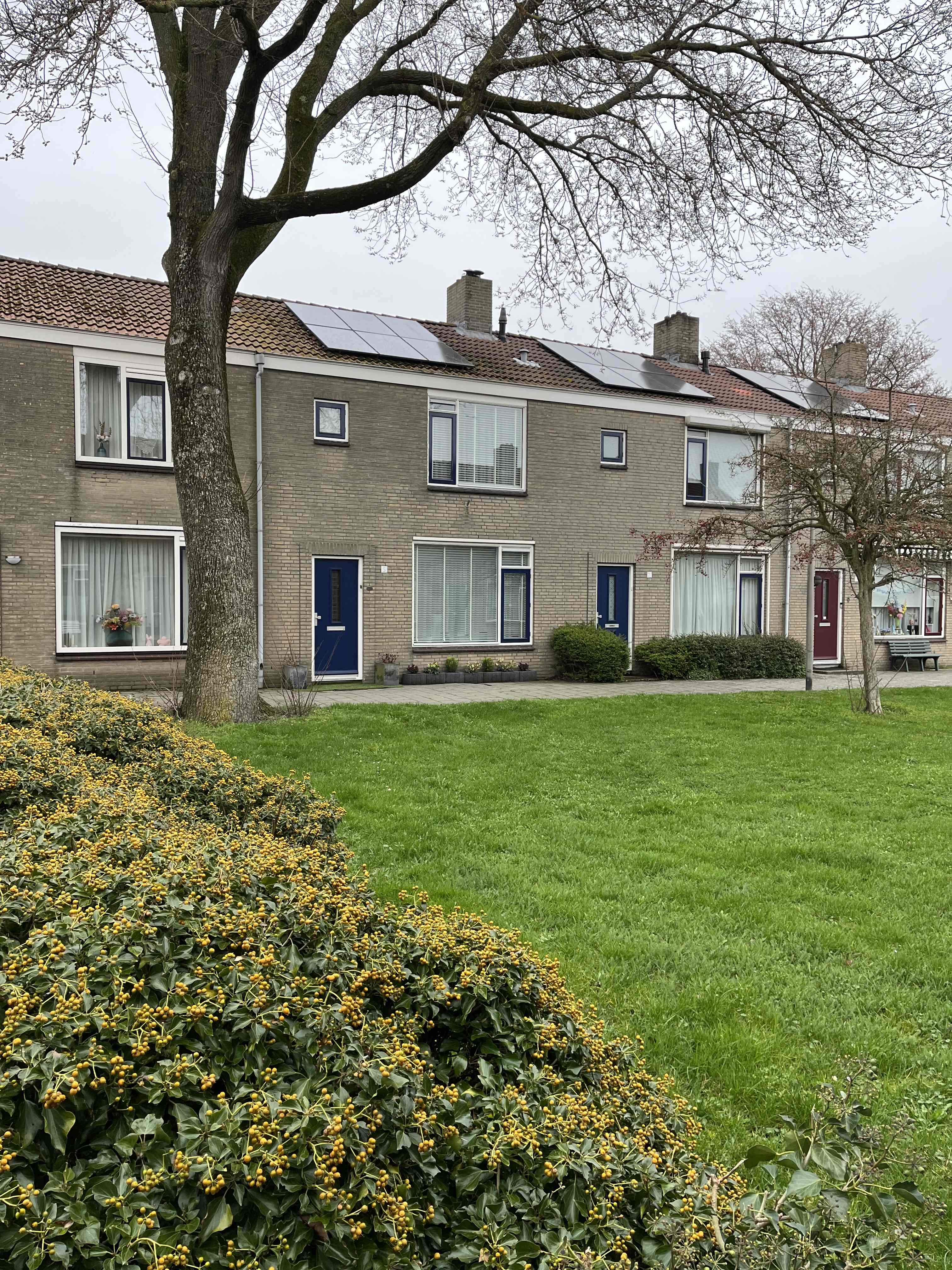 Reggestraat 5 - IJmuiden