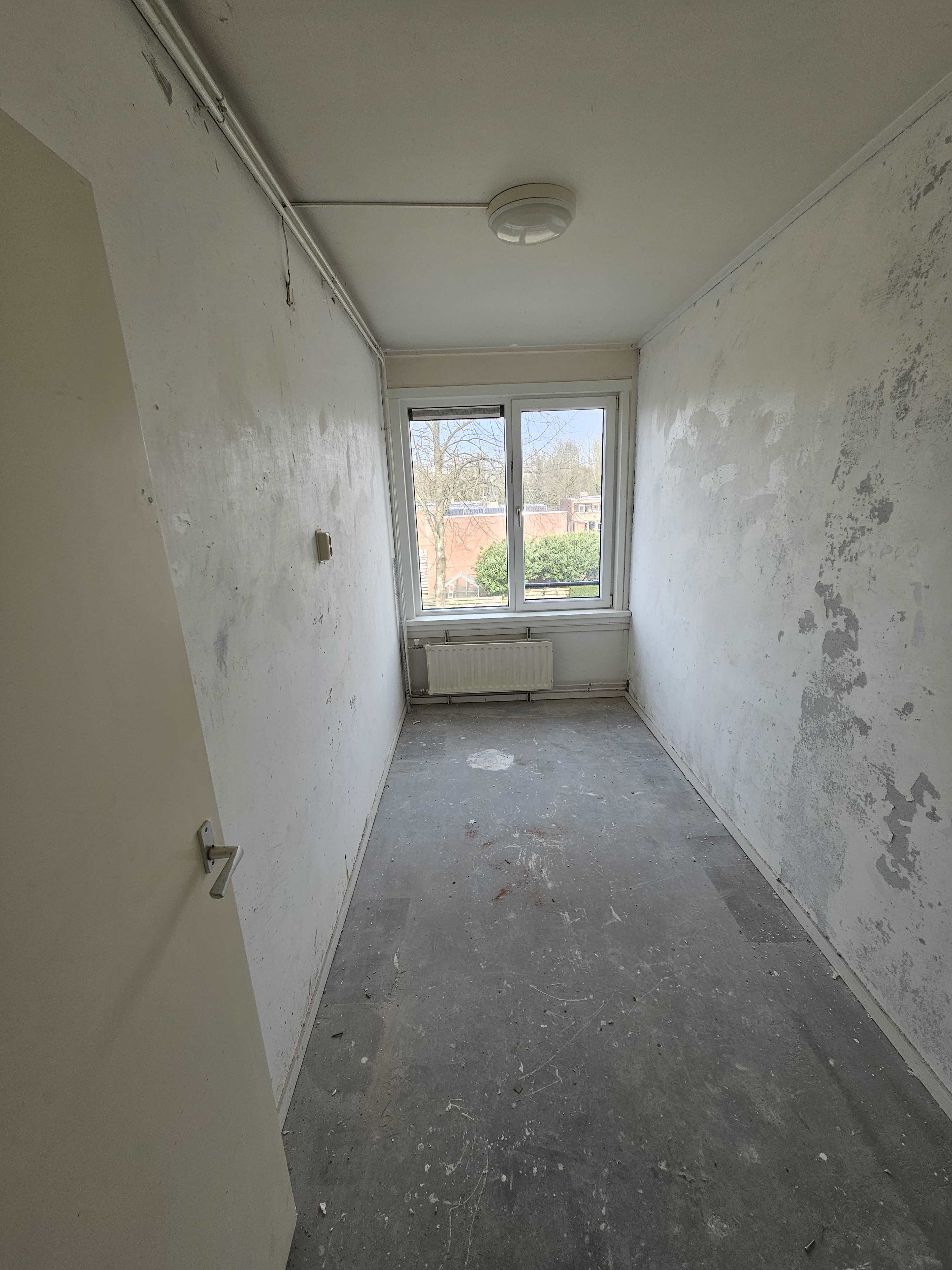 Wimpel 82 - Groningen