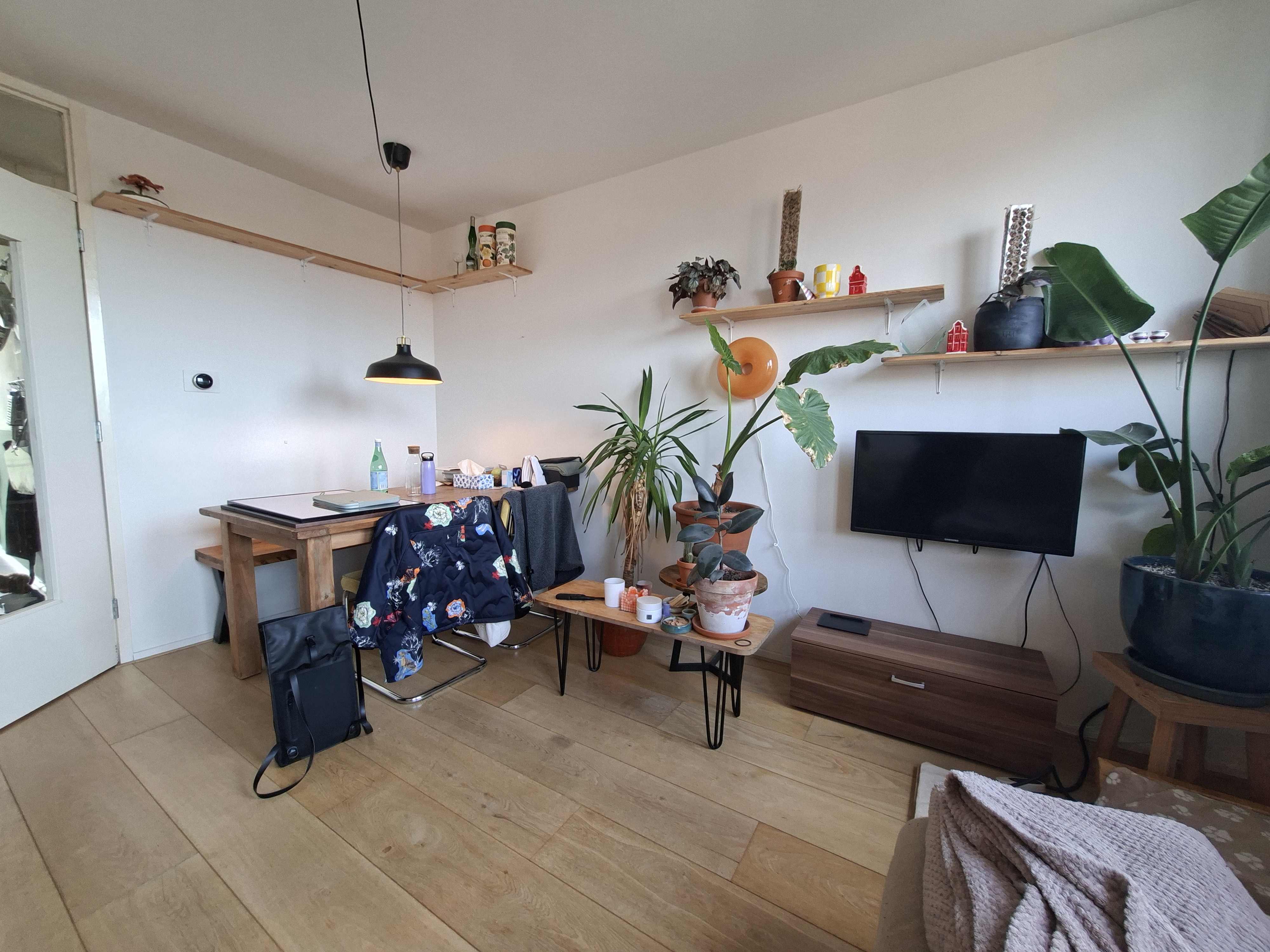 Gerard Callenburgstraat 43-3 - Amsterdam