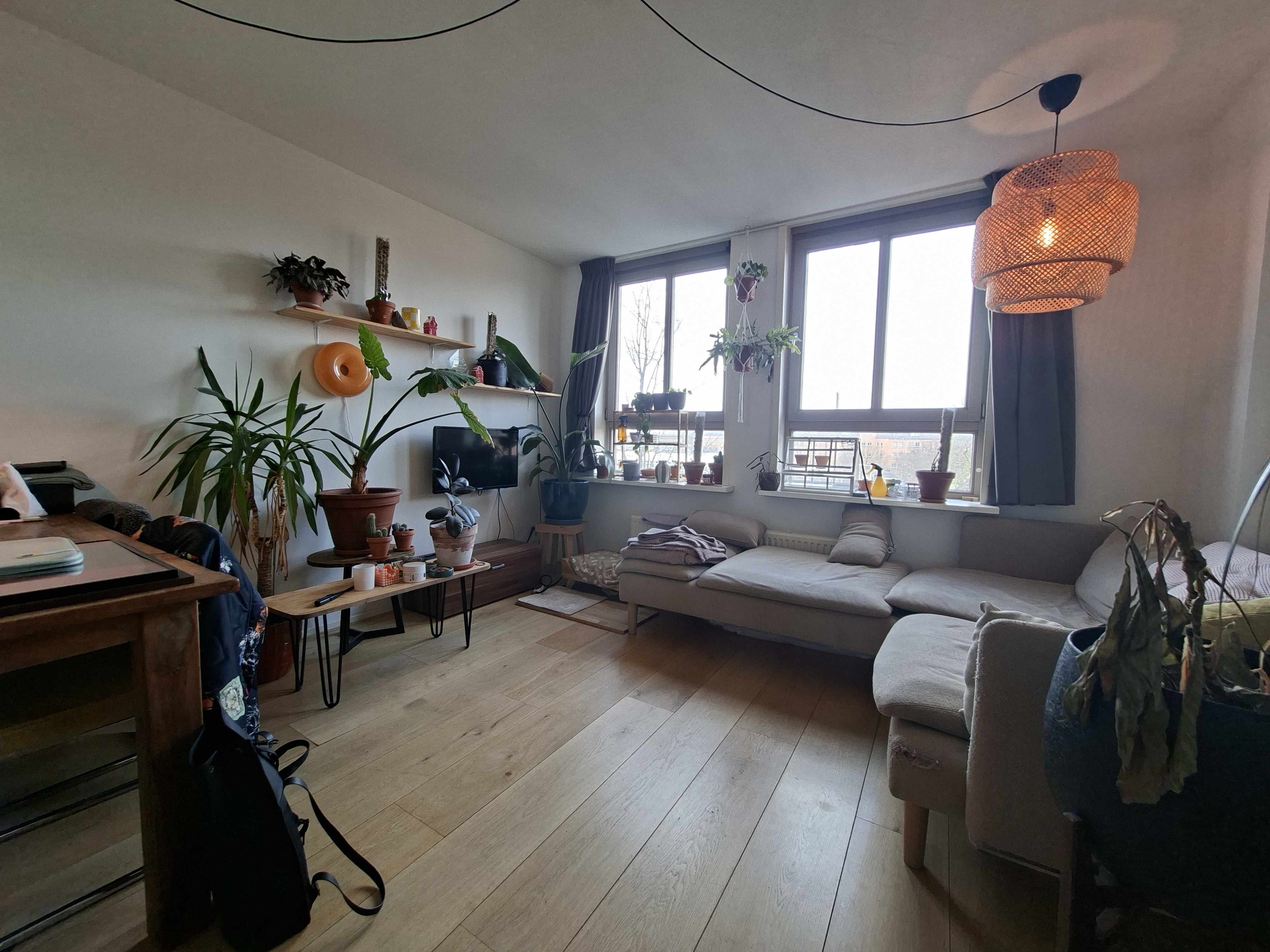 Gerard Callenburgstraat 43-3 - Amsterdam