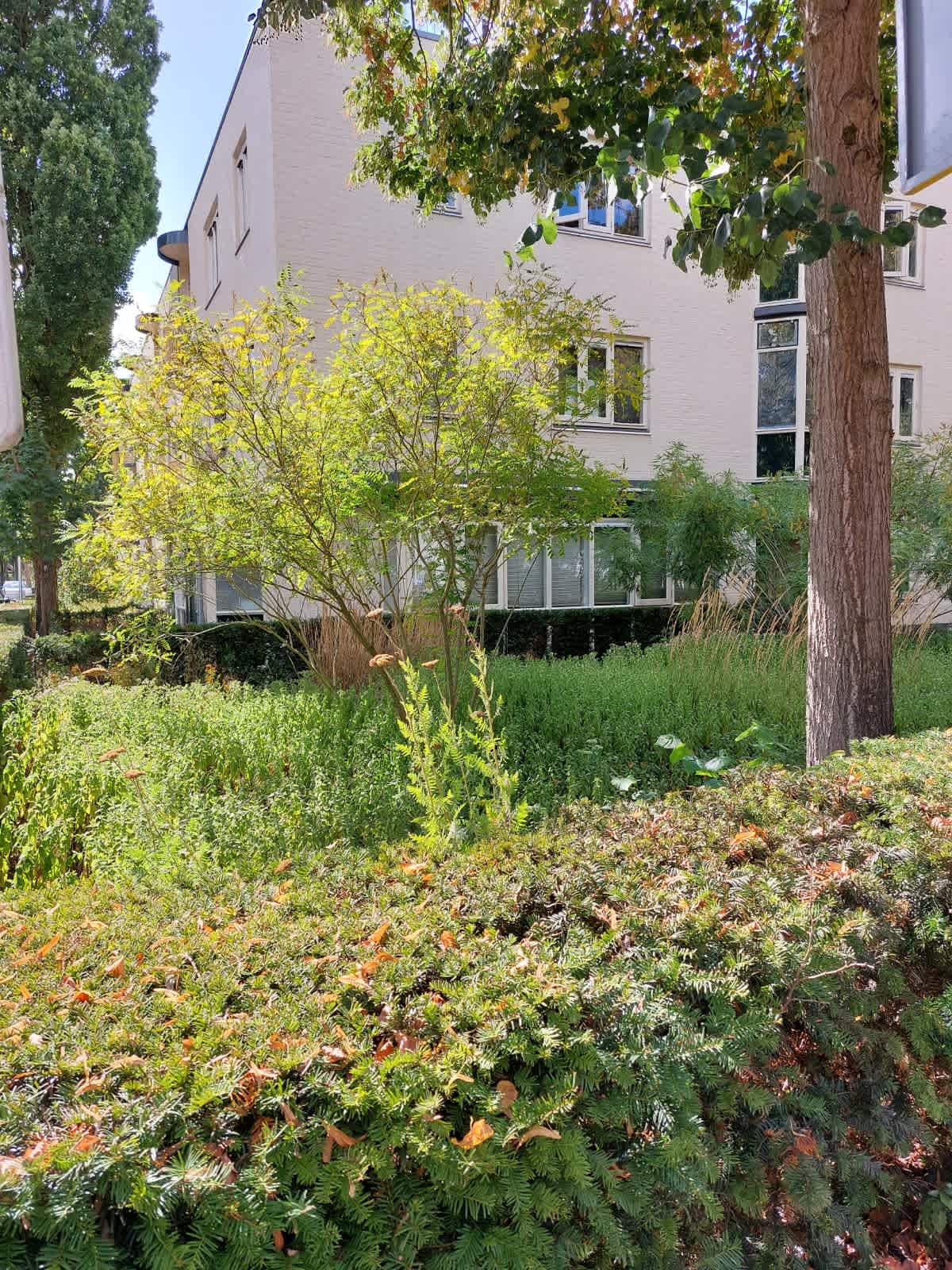 Janshof 20 - Driebergen-Rijsenburg