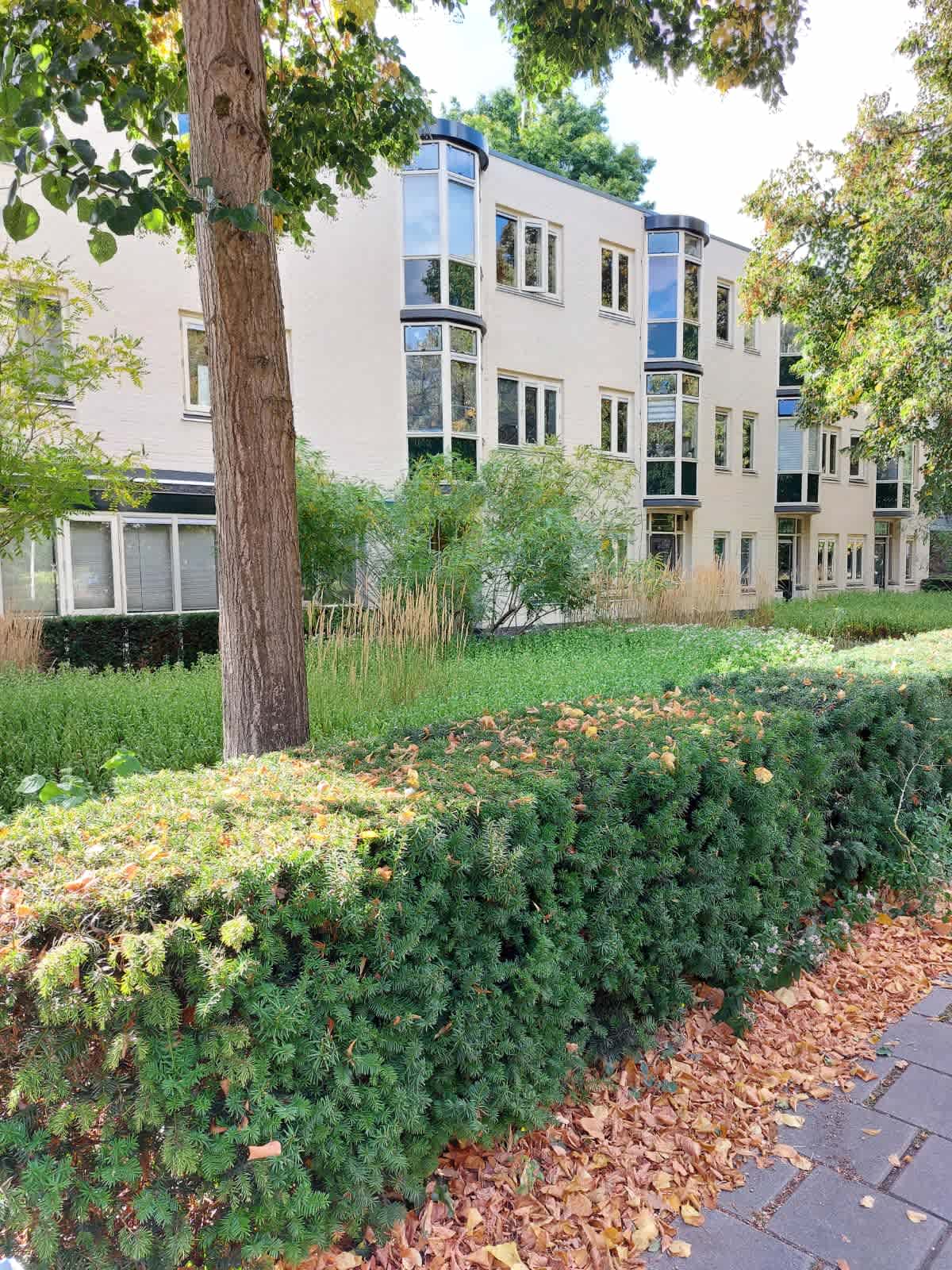 Janshof 20 - Driebergen-Rijsenburg