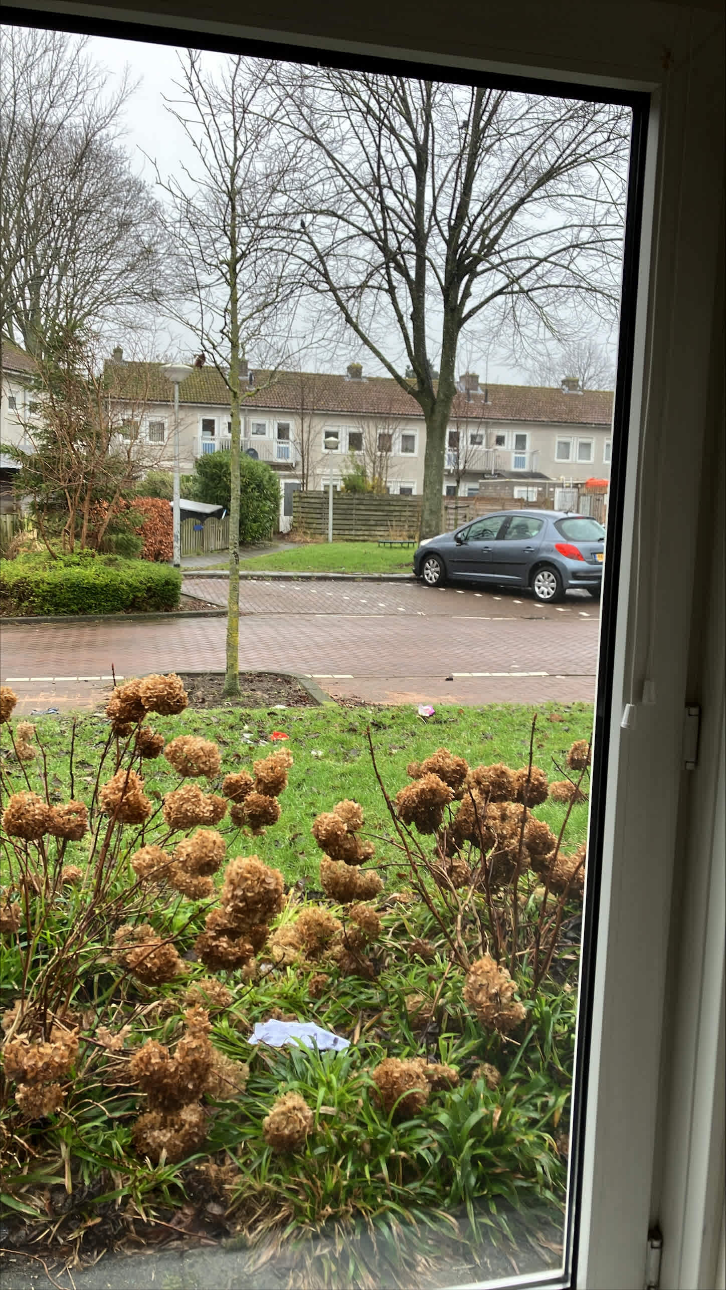 Perzikstraat 8H - Amsterdam