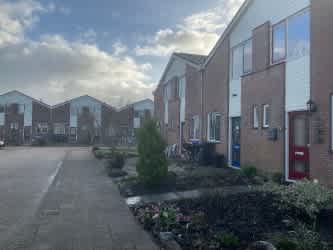 Pinksterbloem 69 - Culemborg