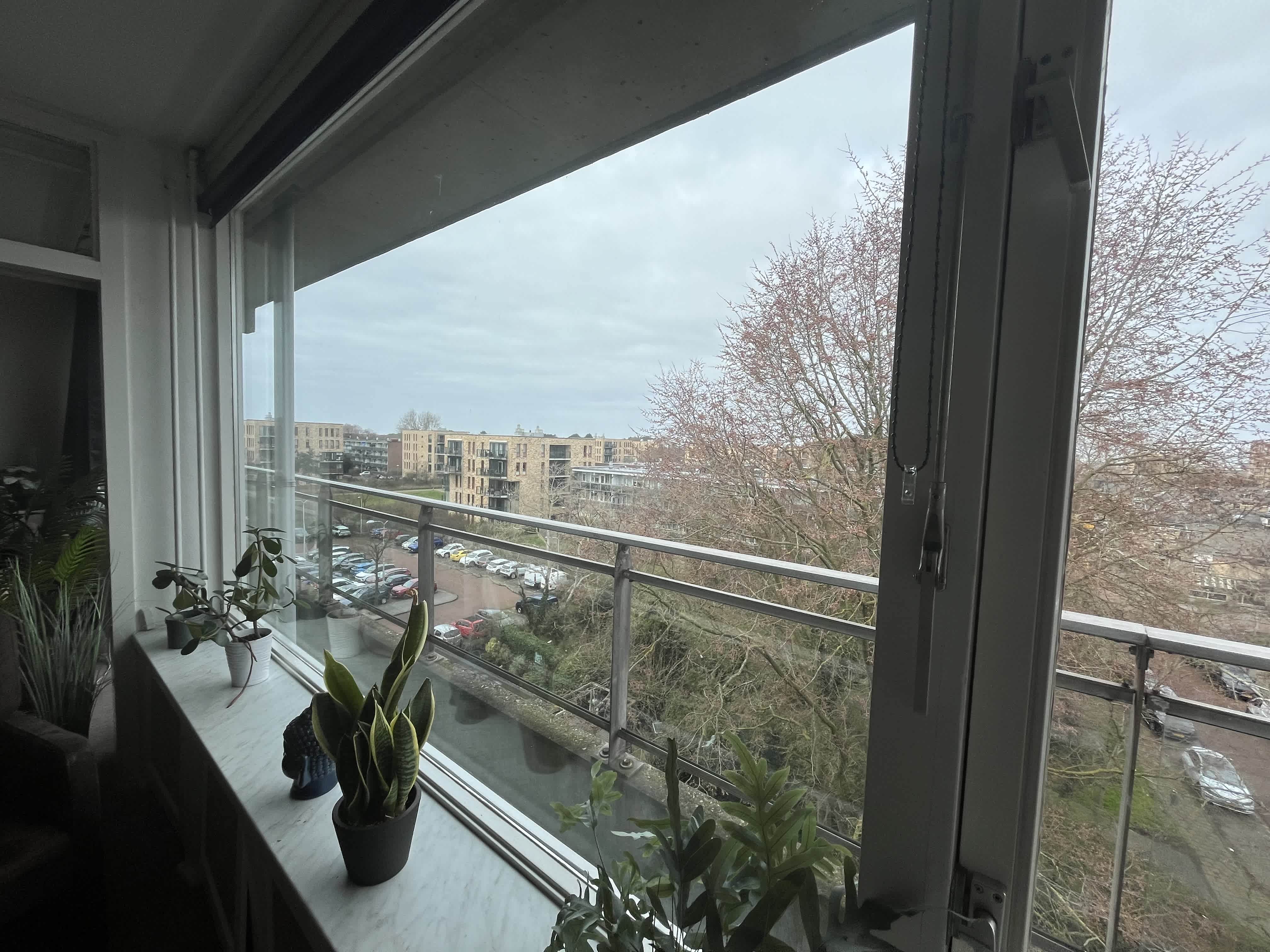 Zeewijkplein 494 - IJmuiden