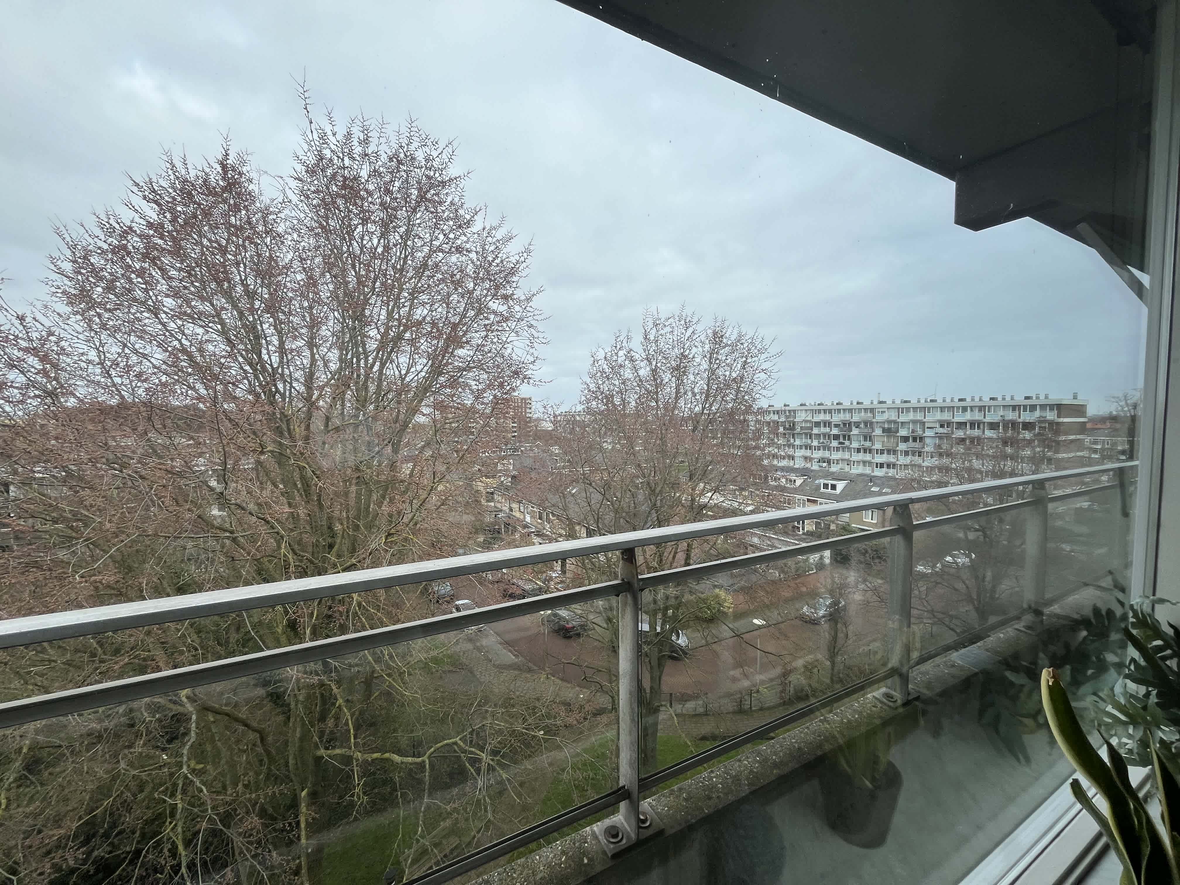 Zeewijkplein 494 - IJmuiden