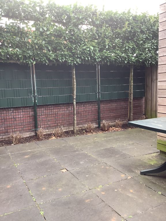 Beuklaan 2 - Alblasserdam