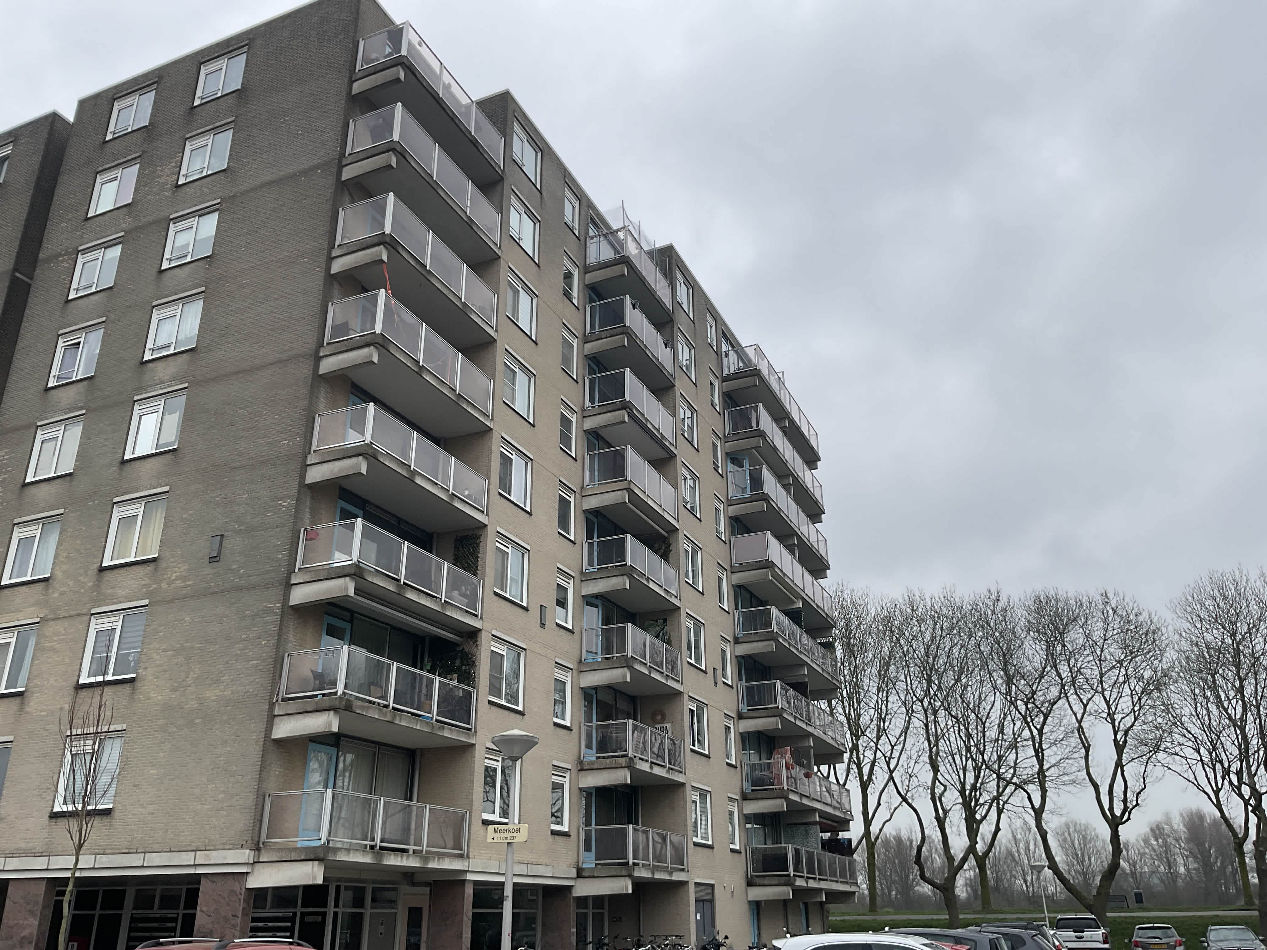 Meerkoet 191 - Diemen