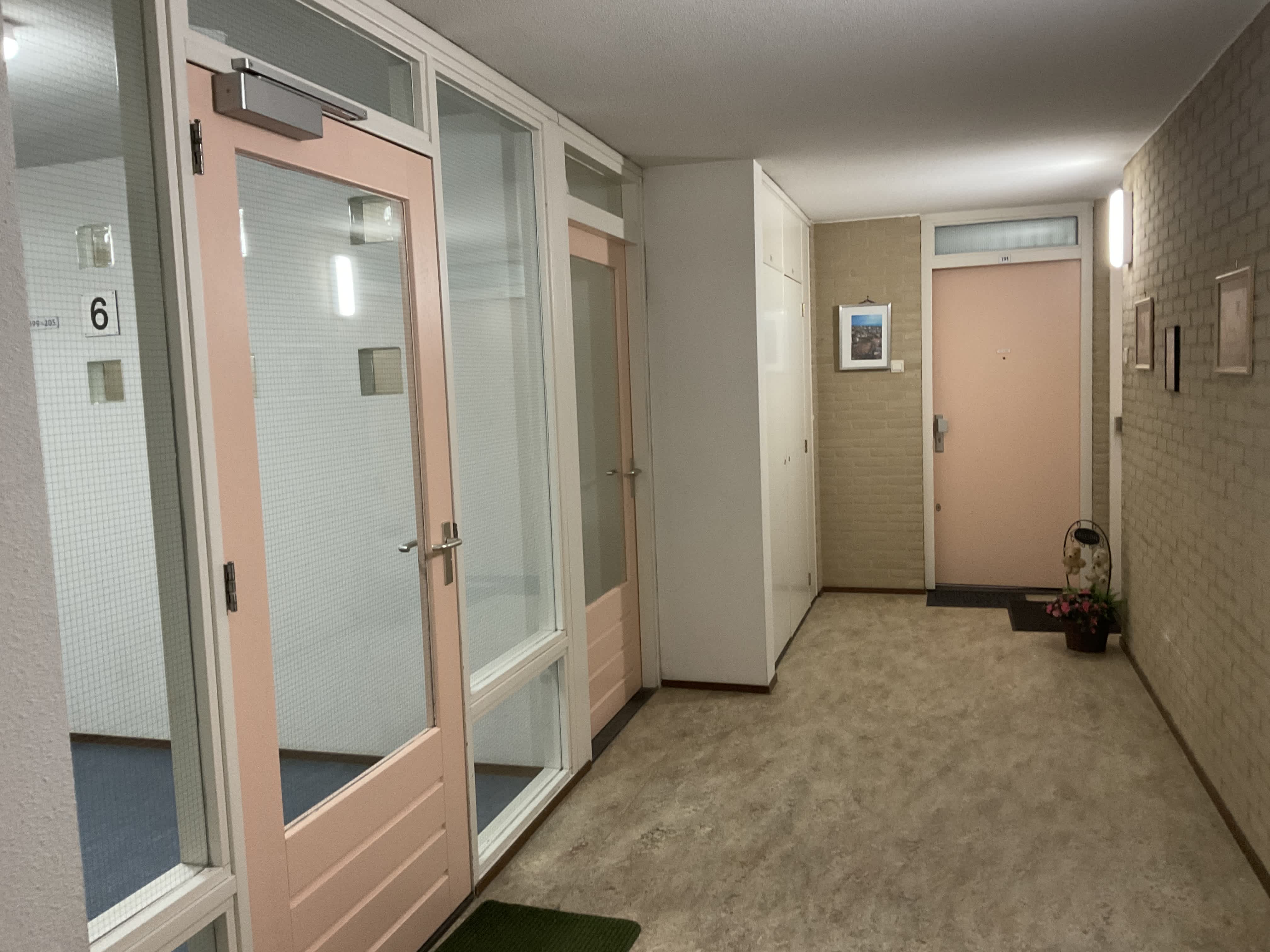 Meerkoet 191 - Diemen