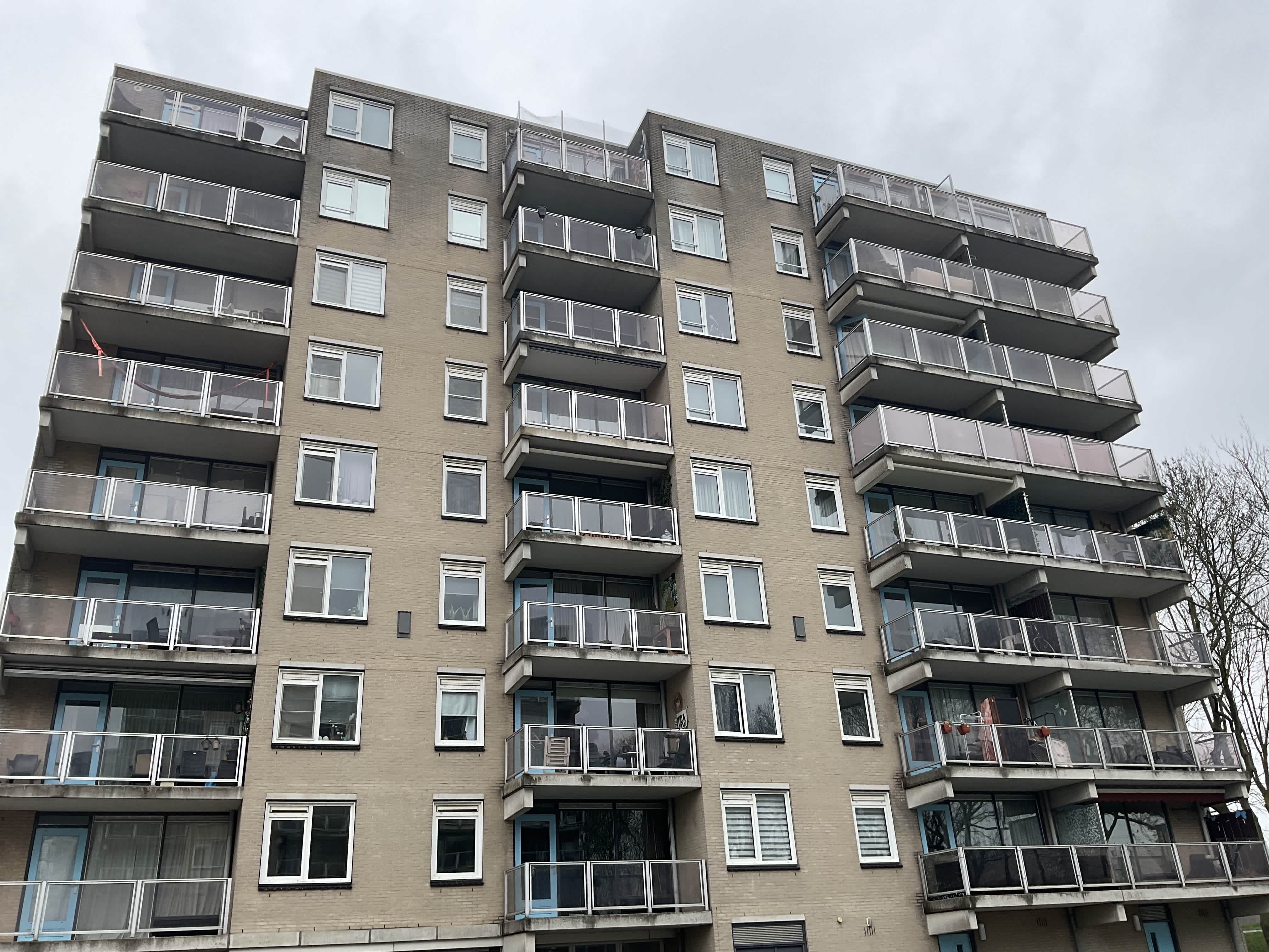 Meerkoet 191 - Diemen