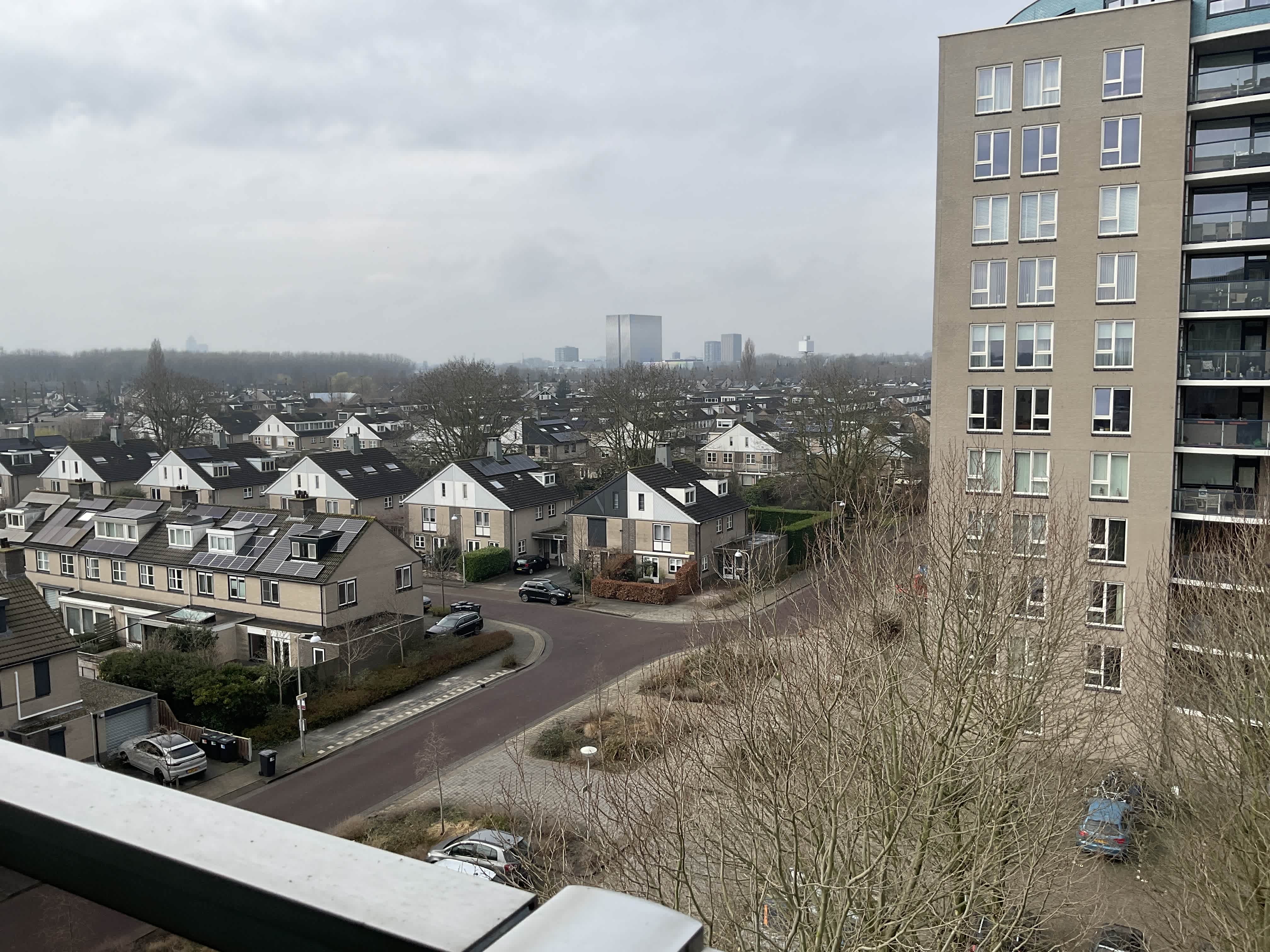 Meerkoet 191 - Diemen