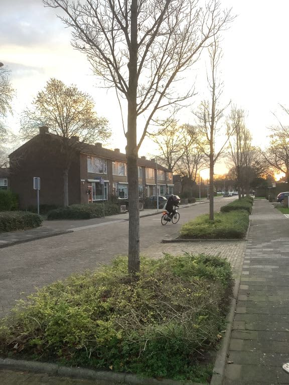 Scheidingslaan 42 - Papendrecht