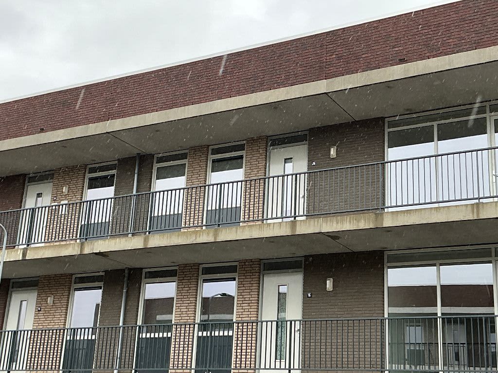 Kleine Vos 26 - Tiel