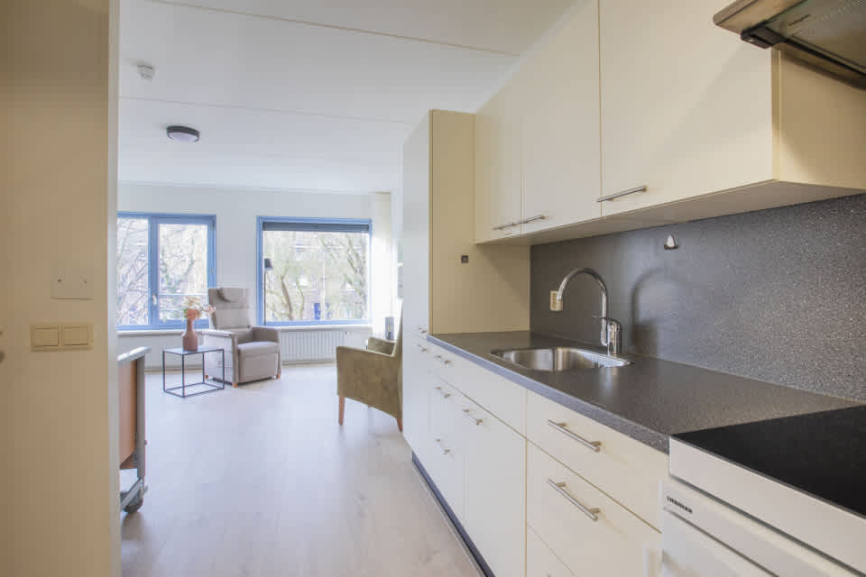 Merelstraat 153 - Groningen