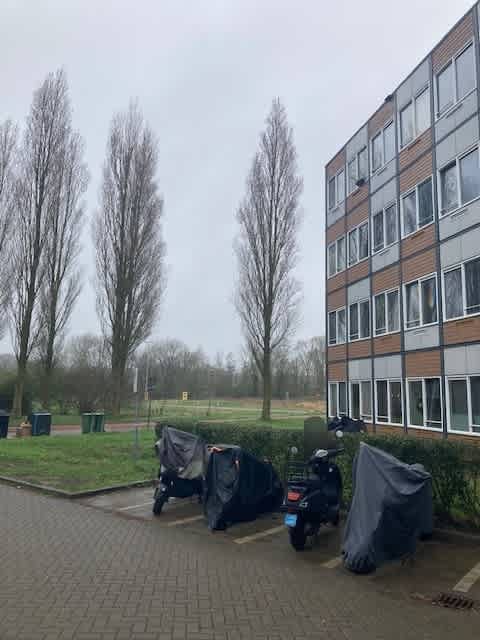 Dijkzichtlaan 211 - Haarlem