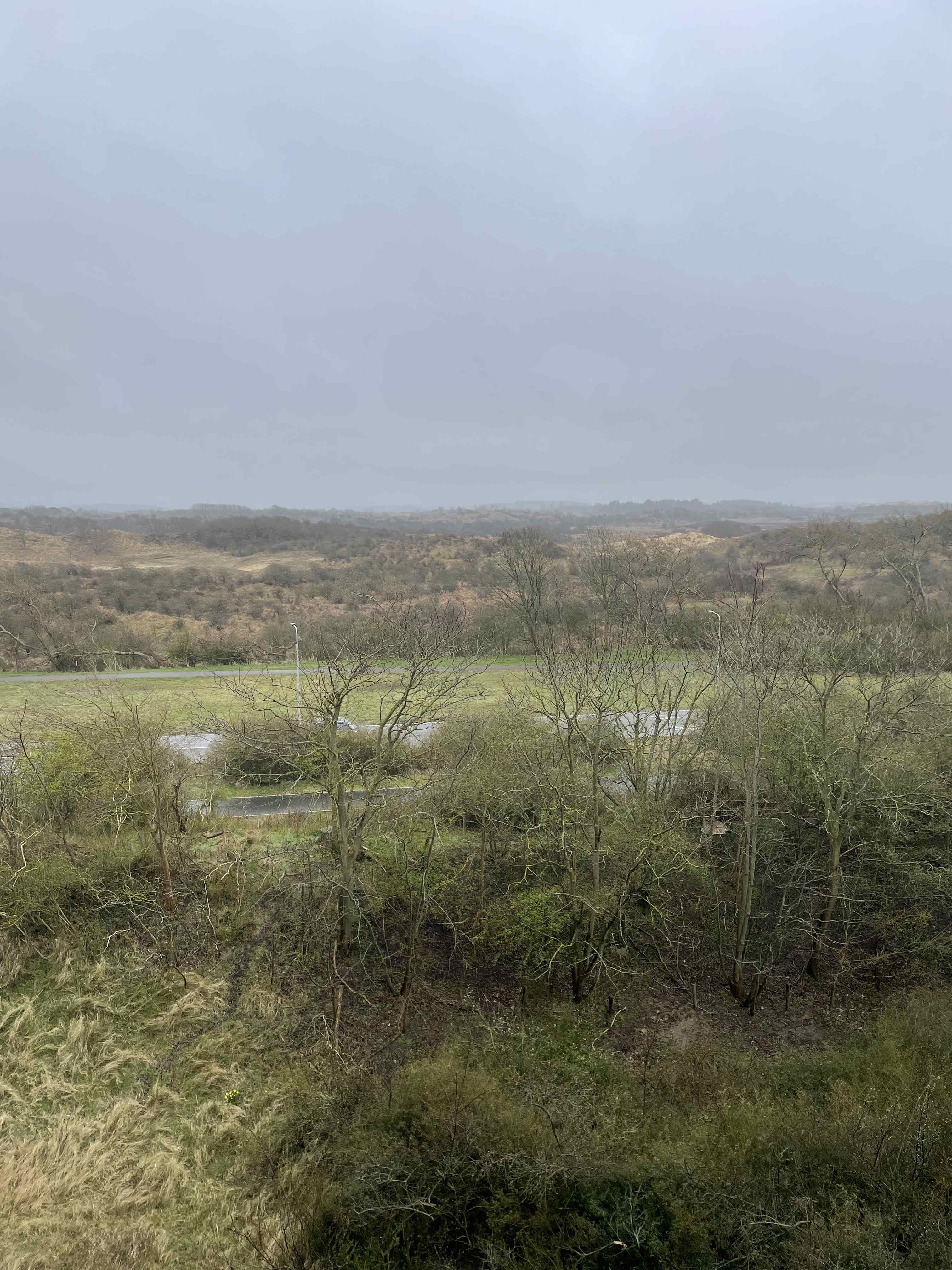 Scheiberglaan 232 - IJmuiden