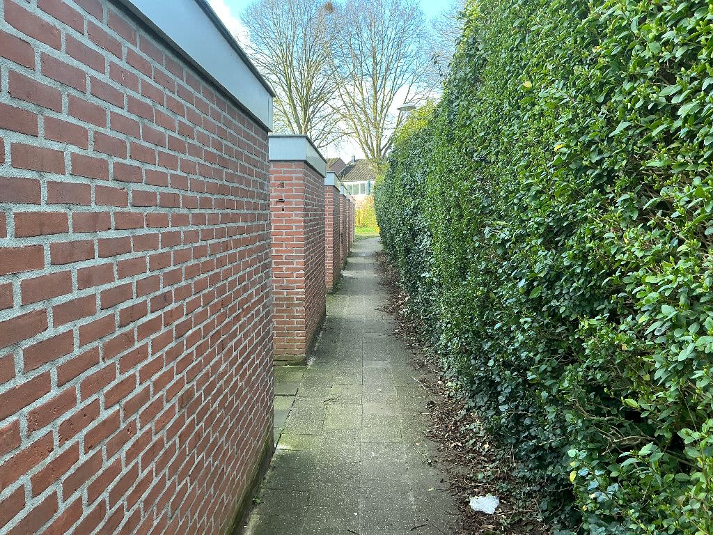 De Hennepe 436 - Tiel