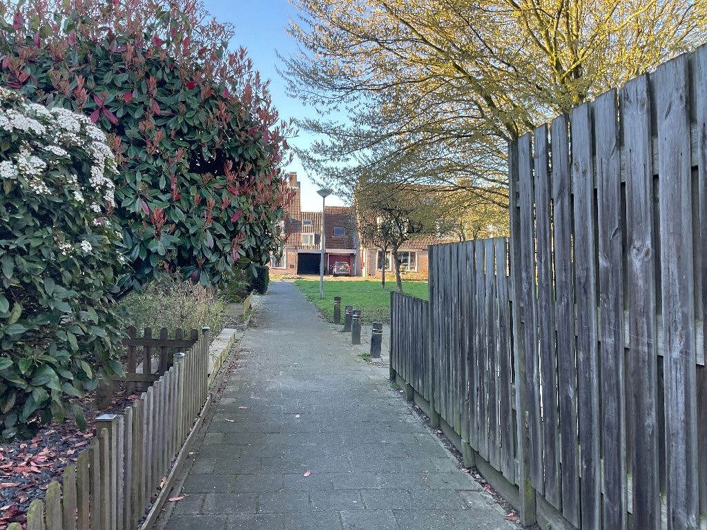 Wolfswaard 72 - Beesd