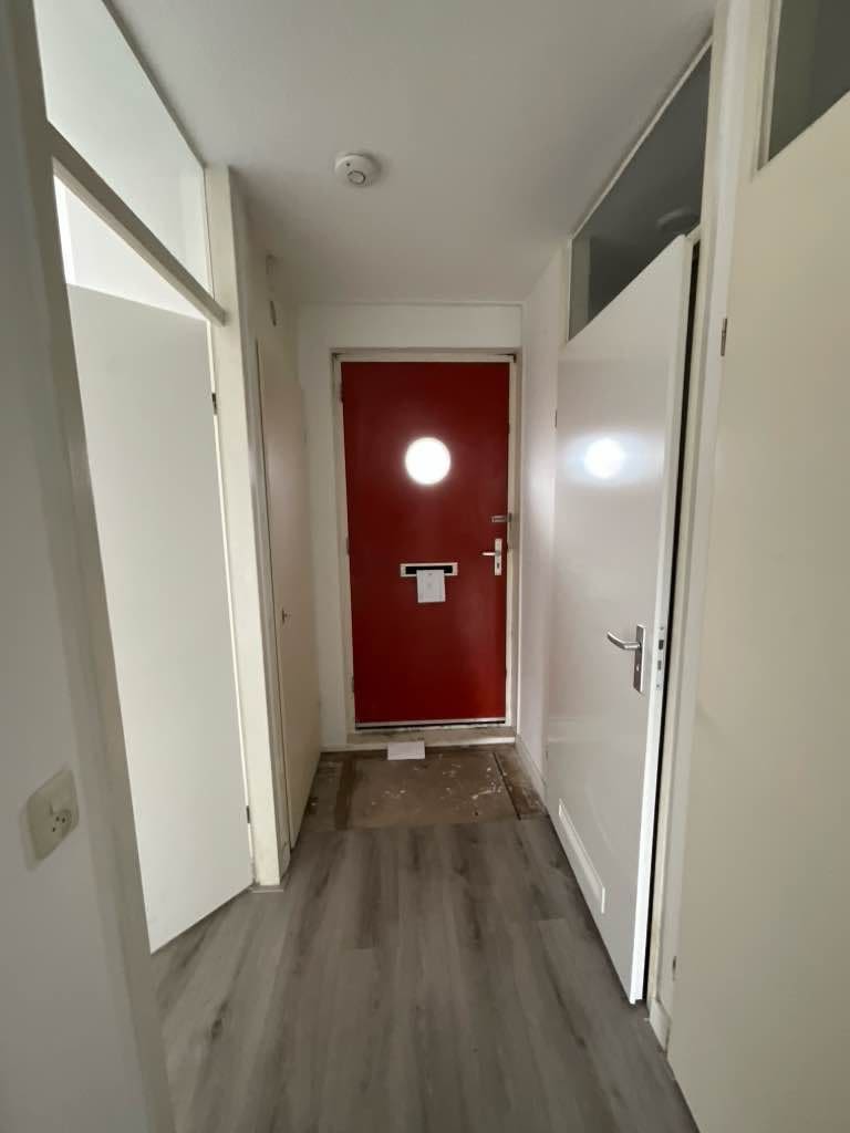 Glanskopmees 52 - Uithoorn