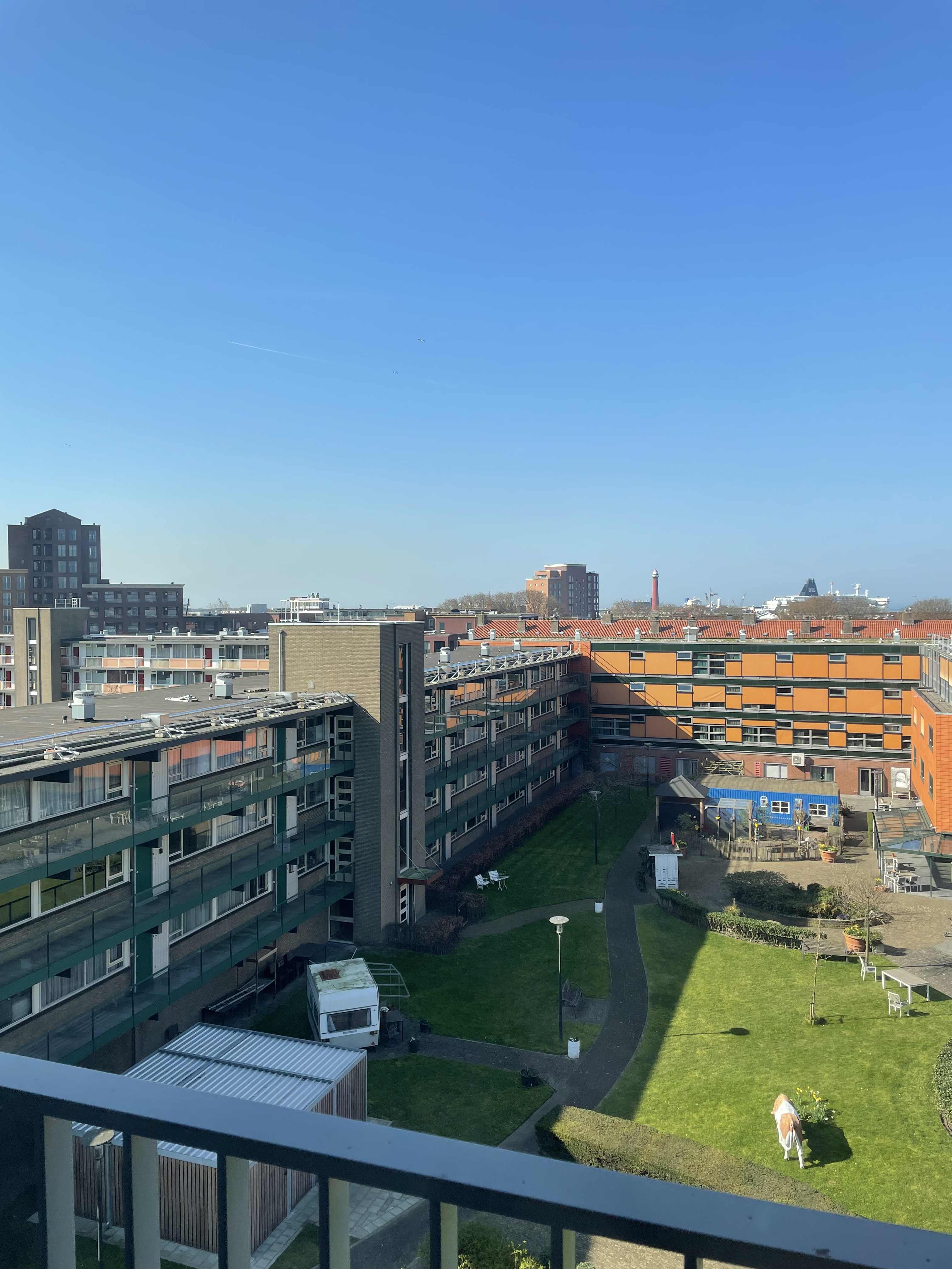 Sam Vlessinghof 81 - IJmuiden