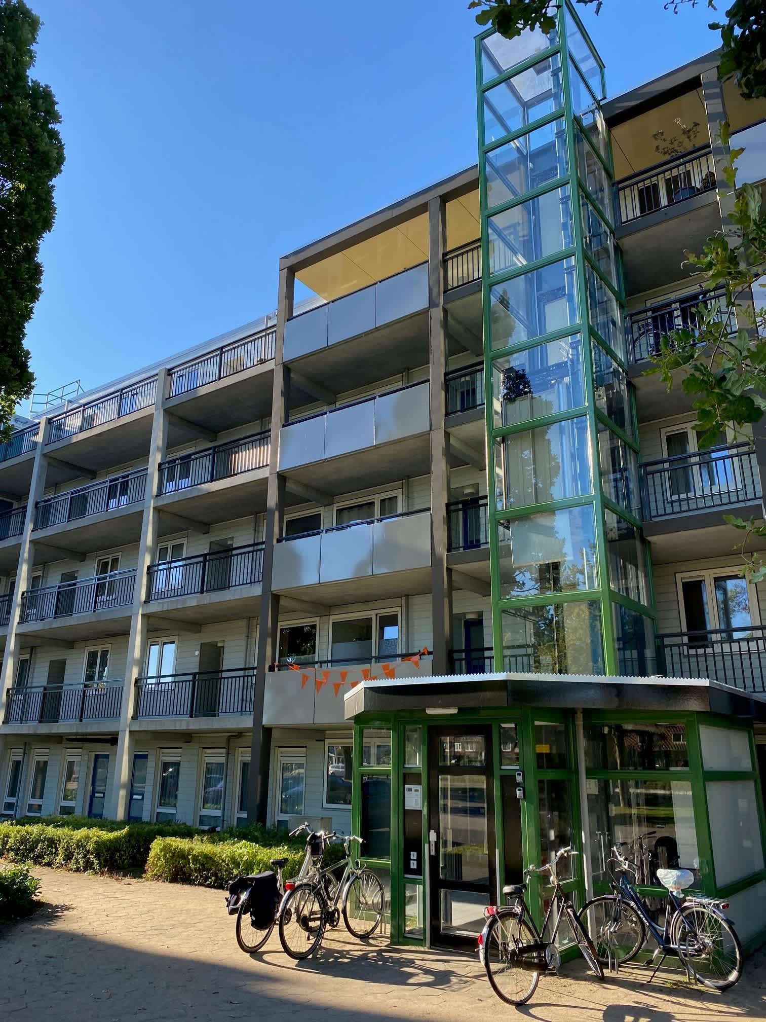 Grote Beer 141 - Bilthoven