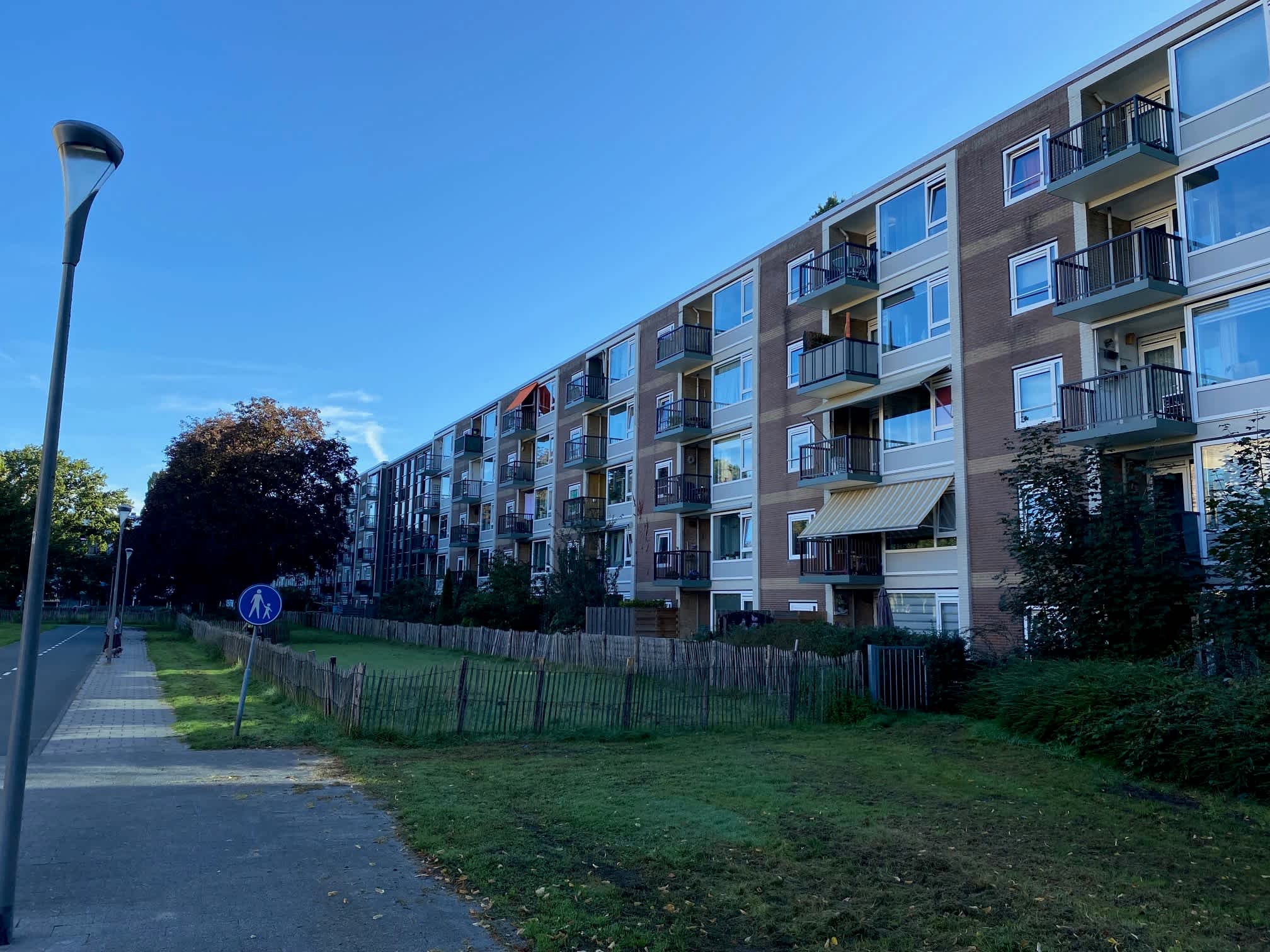 Grote Beer 141 - Bilthoven