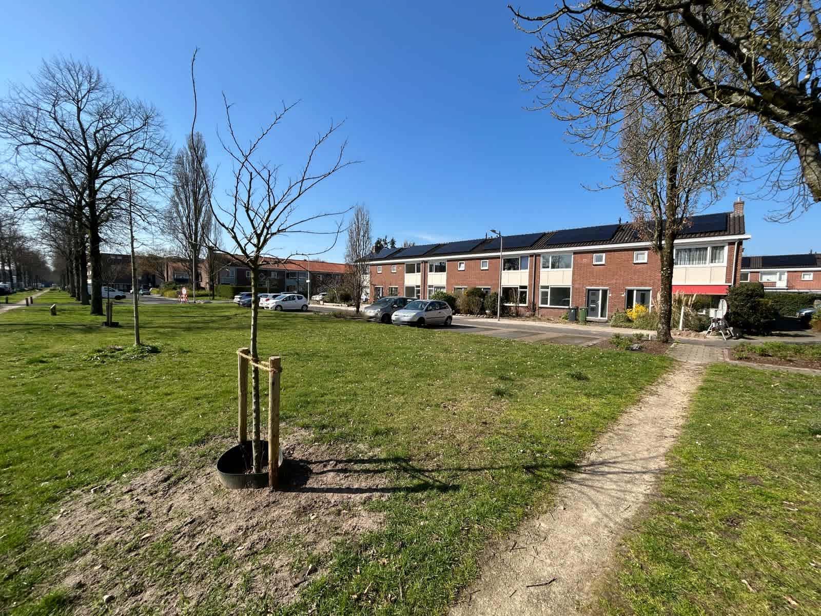 Mgr. Nolenslaan 9 - Zeist